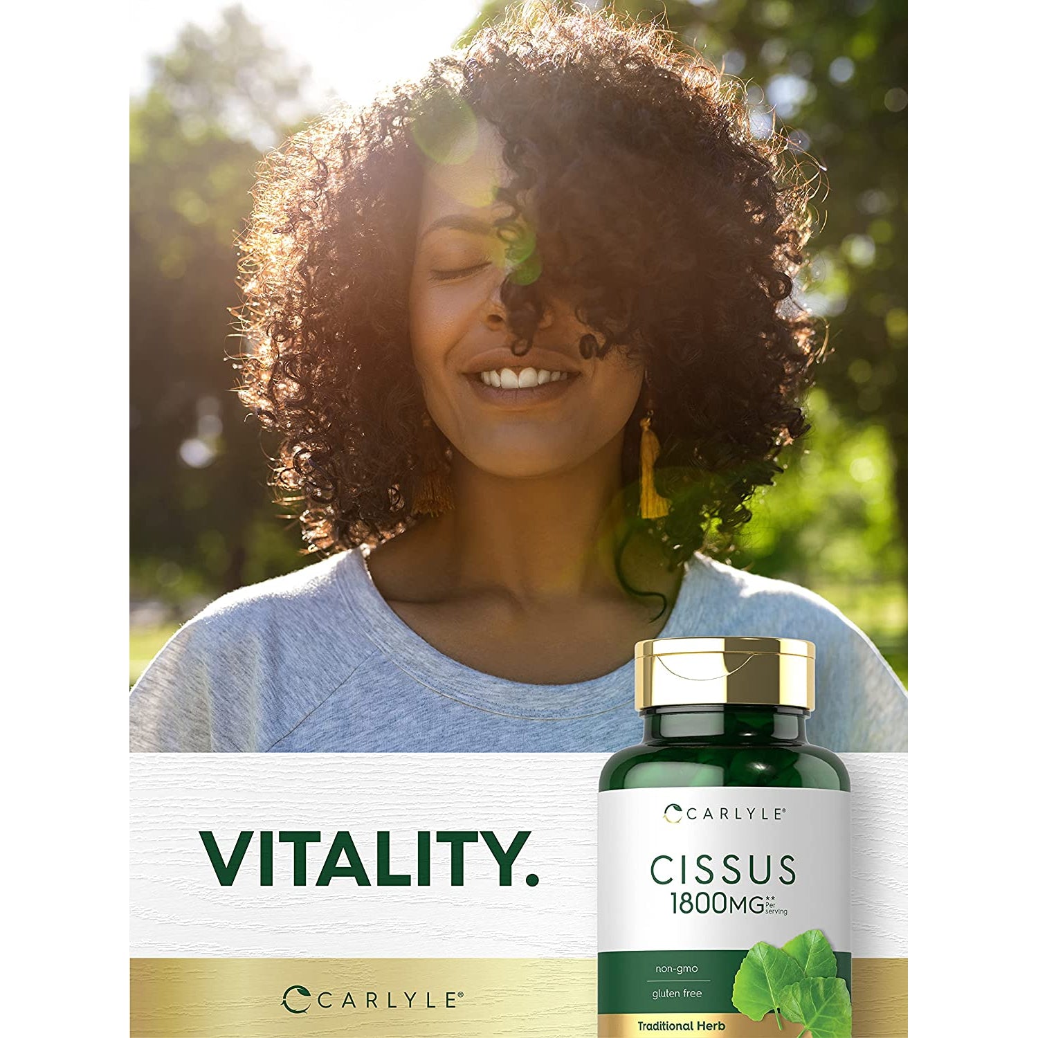 Carlyle Cissus Quadrangularis | 200 Capsules | Traditional Herb Extract Supplement | Non-Gmo and Gluten Free Formula