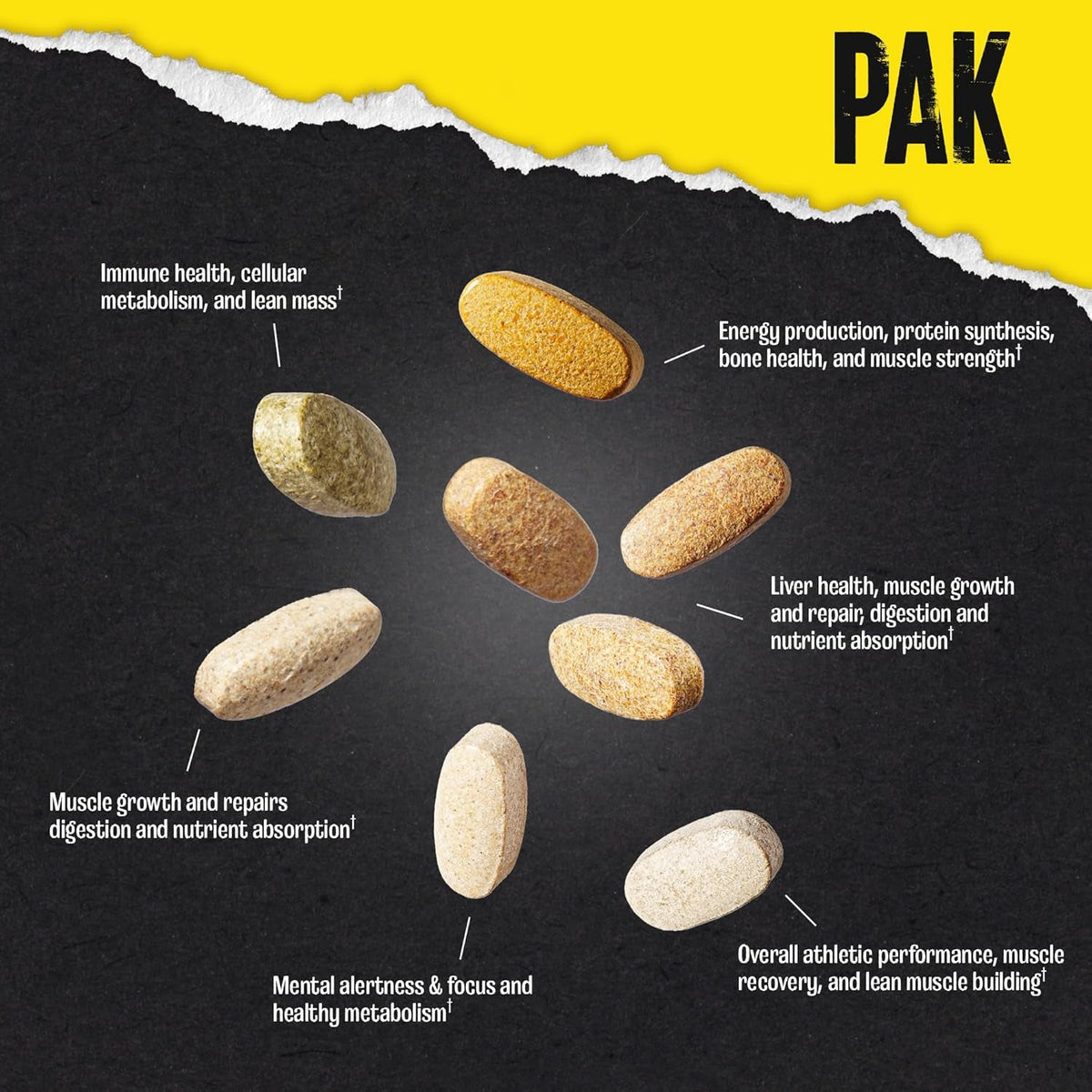 Animal Pak - Convenient Multivitamin for Men & Women Daily All-In-One Vitamin & Supplement Pack - Zinc, Vitamins C, B, D, Amino Acids, and Immune Support - Sports Nutrition Performance - 44 Count