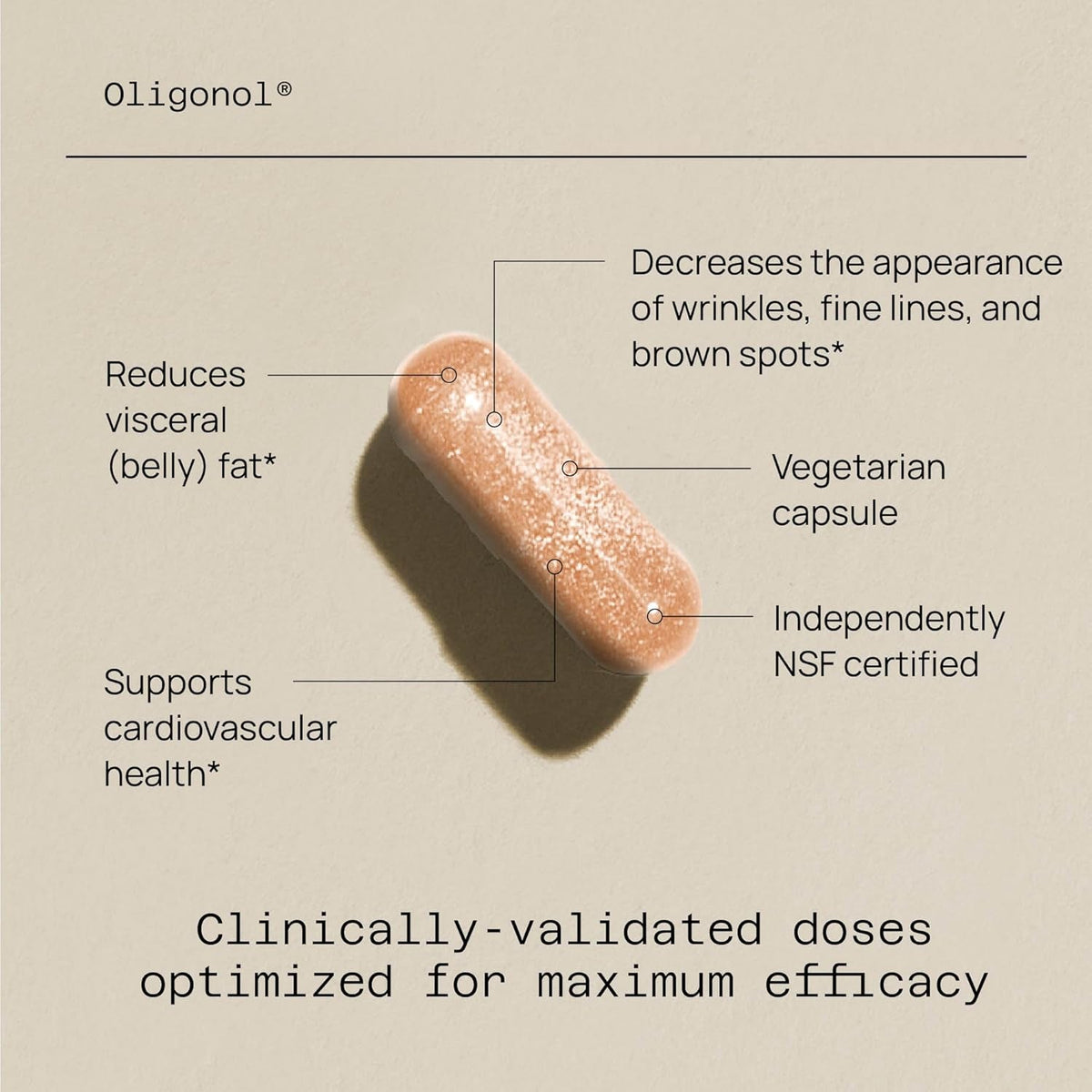 Quality of Life Oligonol Premium anti Aging Supplement - Promotes Cardiovascular Health, Circulation & Youth, Includes Antioxidants - Lychee Fruit Extract - 30 Vegicaps