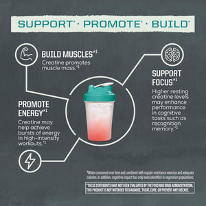 Creatine Monohydrate Powder Micronized Preworkout Recovery Supplement | Support Muscle Building Strength Training Cognition | Vegan & Keto Friendly Easily Mixes (60 Serving) Unflavored Active Creatine