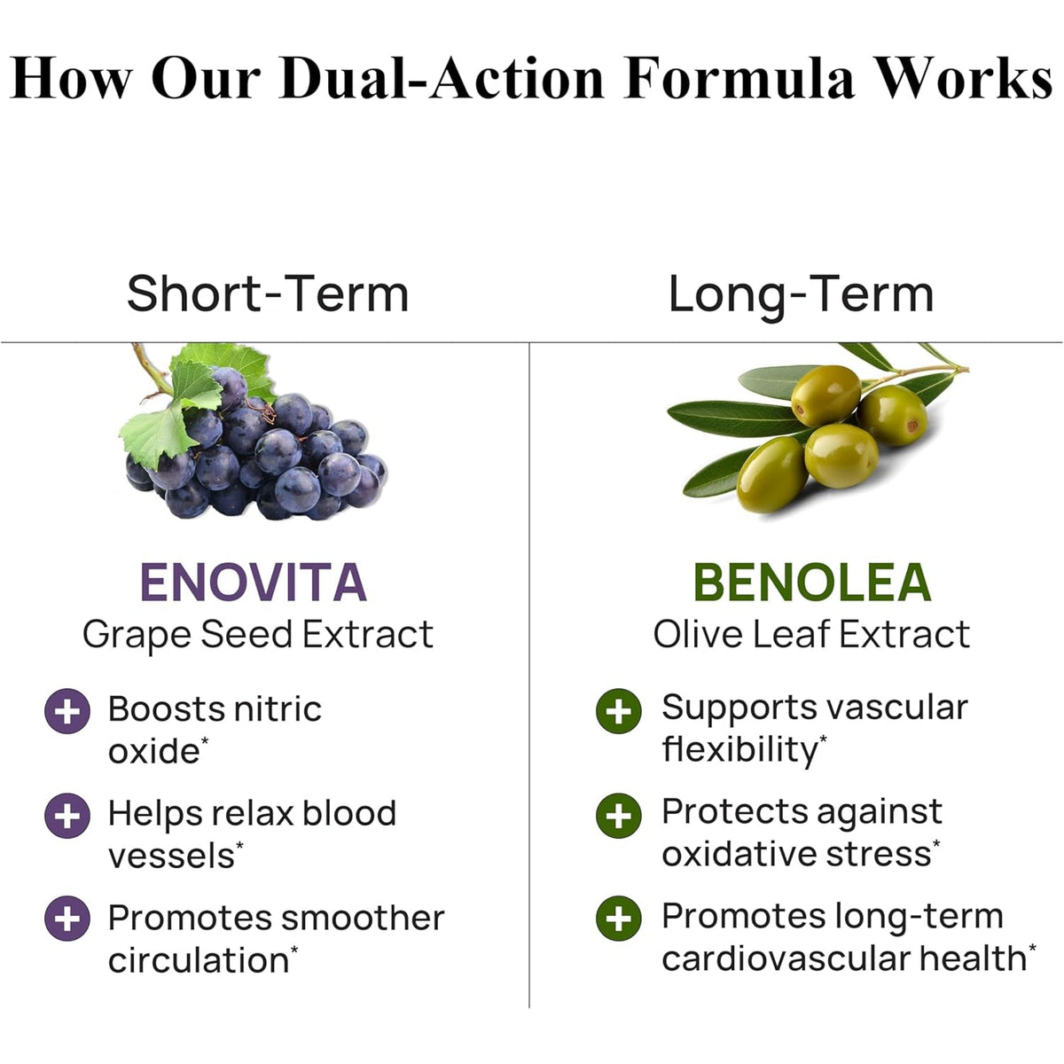 Durable Blood Pressure – Benolea Olive Leaf & Enovita Grape Seed Extract – Healthy Circulation, Nitric Oxide & Artery Support – Doctor Formulated, Vegan, Non-Gmo, Made in USA (60 Capsules)