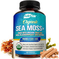 Nutriflair Organic Sea Moss 1600Mg, 120 Capsules plus Bladderwrack & Burdock - Prebiotic Super Food - Immune System & Digestive Health - Thyroid, Healthy Skin, Keto Detox, Gut