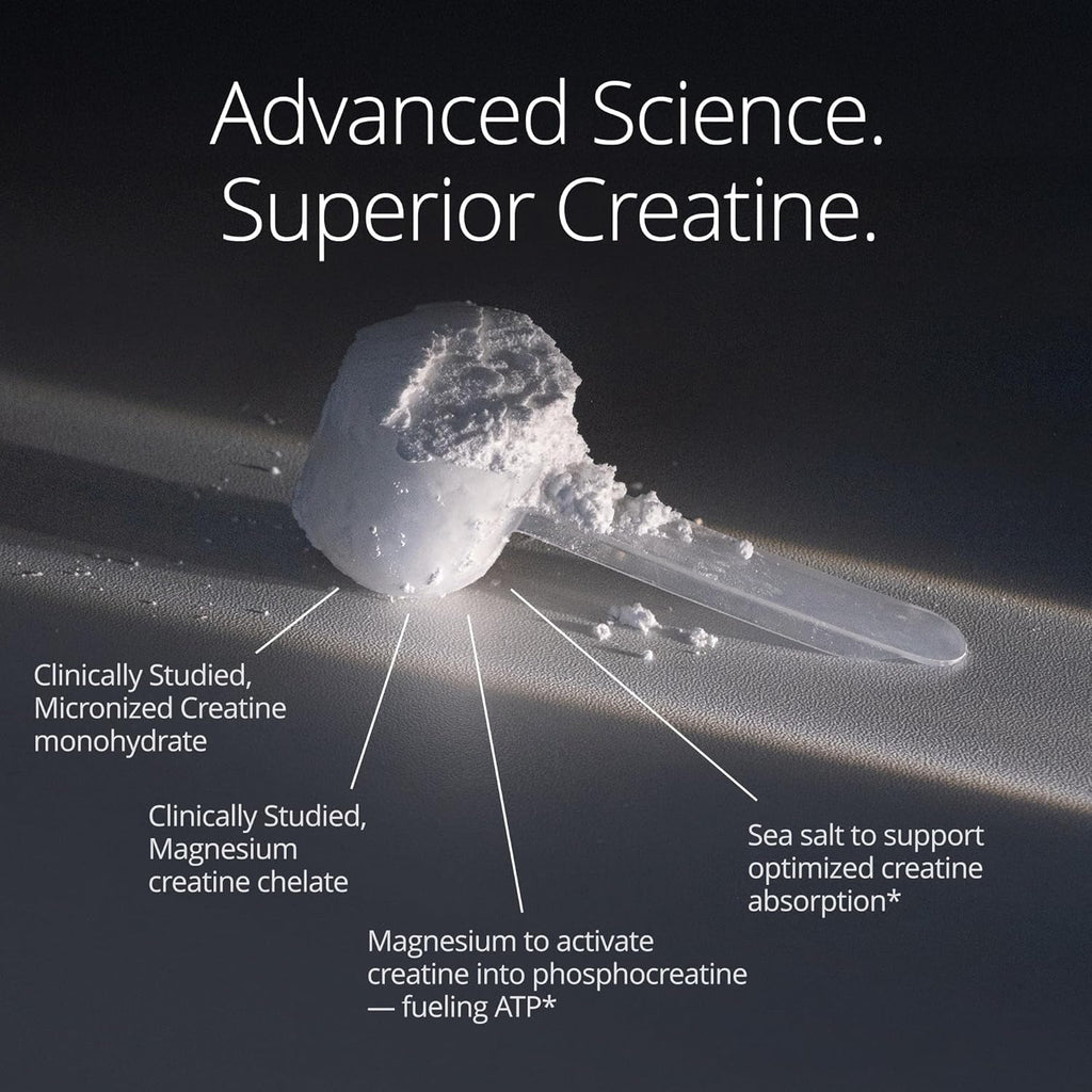Qualia Creatine | Advanced Creatine Complex | 2 Sources + Magnesium | Optimized Absorption | Muscle Performance, Brain Function, & Healthy Aging (30 Servings)