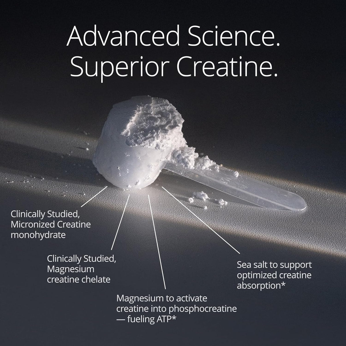 Qualia Creatine | Advanced Creatine Complex | 2 Sources + Magnesium | Optimized Absorption | Muscle Performance, Brain Function, & Healthy Aging (30 Servings)