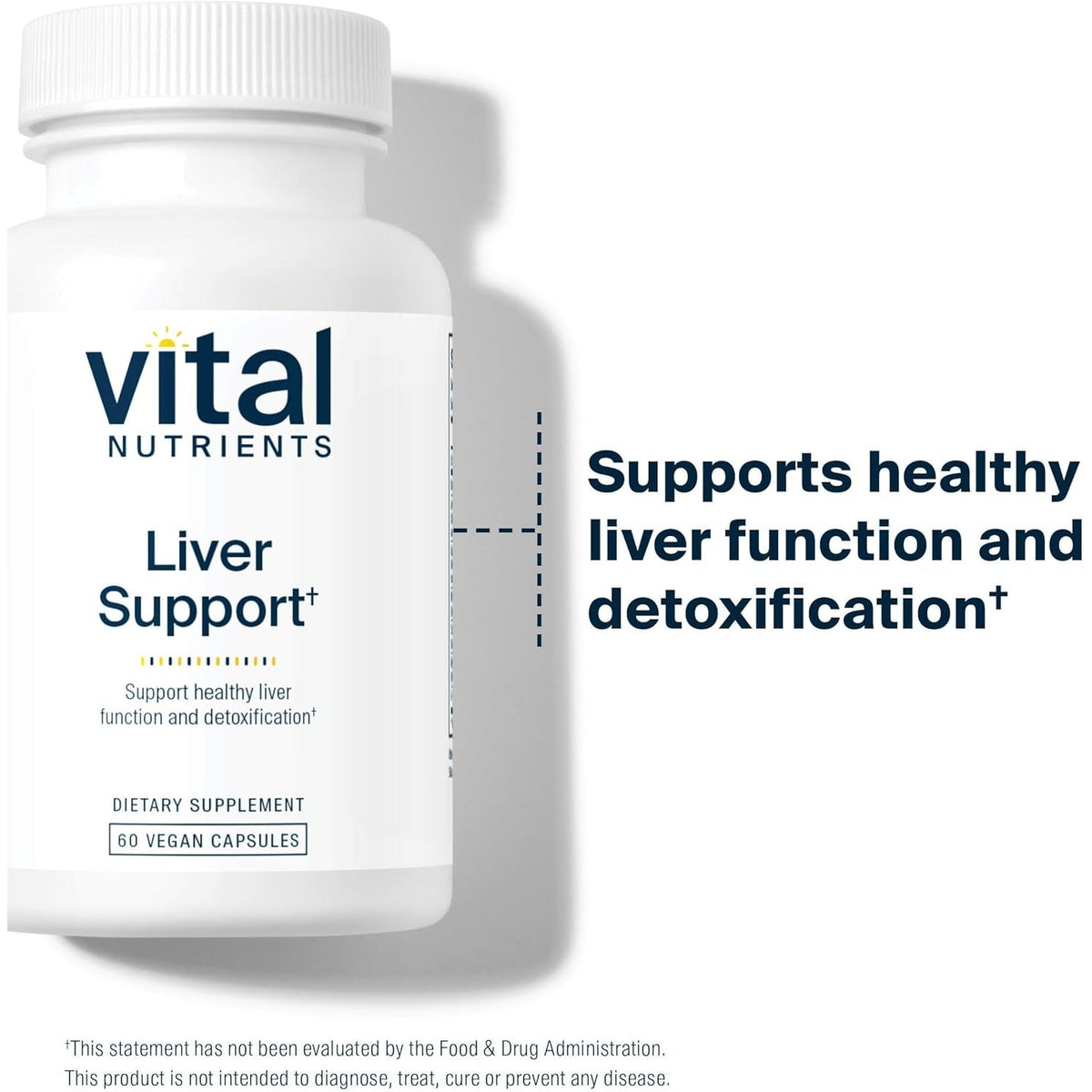 Vital Nutrients Liver Support Milk Thistle and Curcumin - Vegan Supplement - Herbal Combination to Support Healthy Liver Function* - Gluten, Dairy and Soy Free - 60 Capsules
