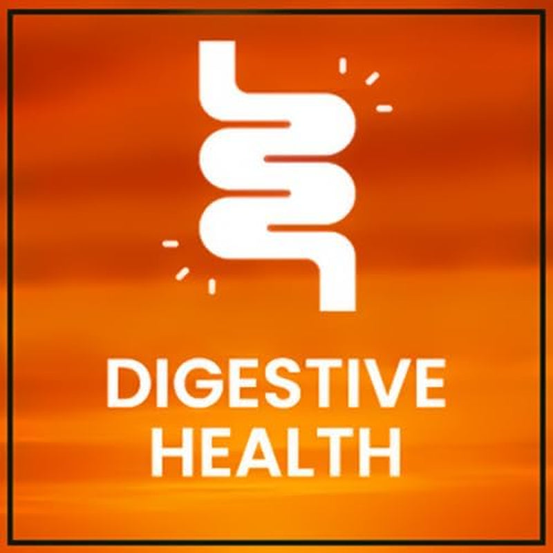MX Dietary Fiber Supplement Powder 300G - Supports Digestive Health and Weight Management | Suplemento De Fibra Dietética En Polvo, 300G - Apoya La Salud Digestiva Y El Control De Peso