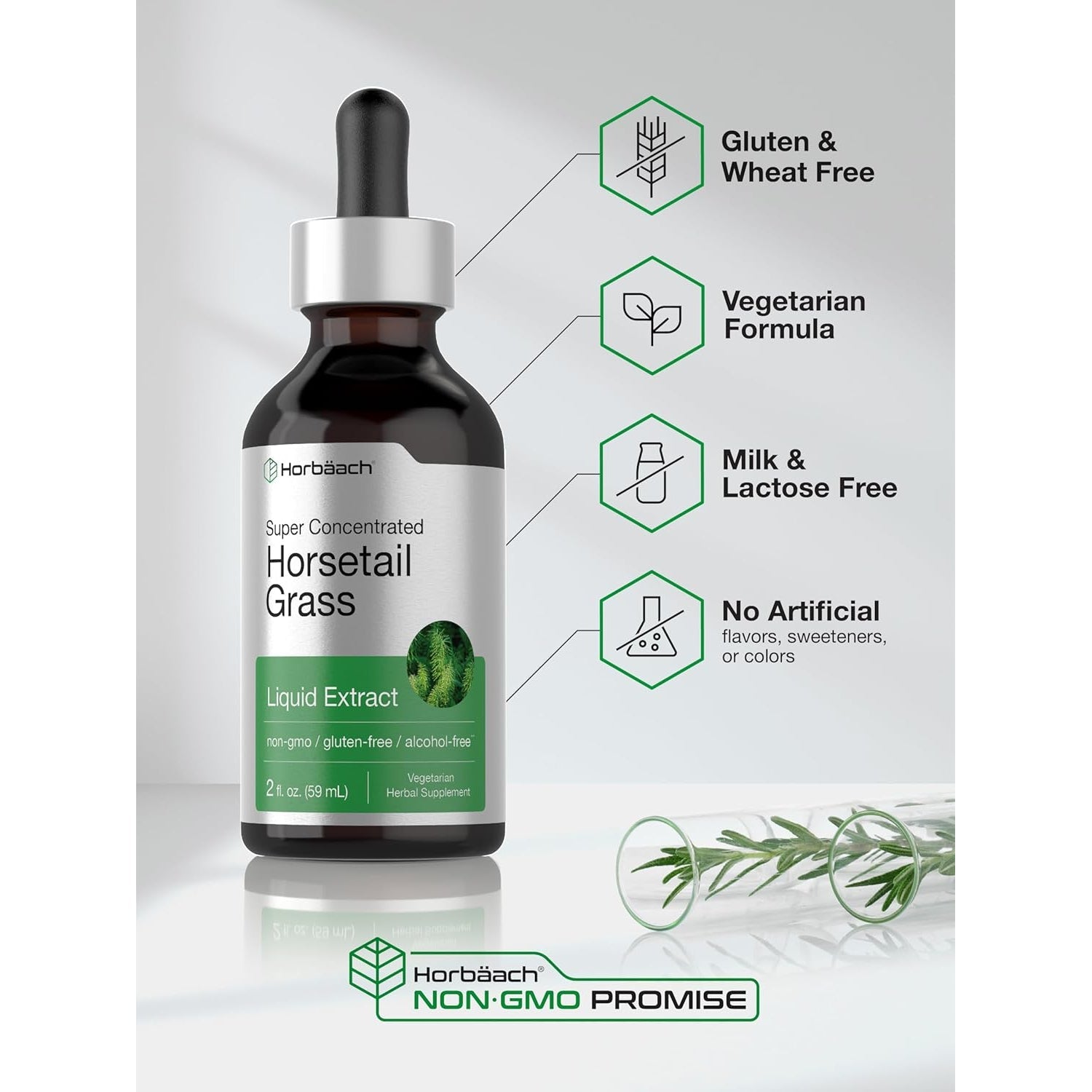Horbäach Horsetail Herb Liquid Extract | Alcohol Free | 2 Fl Oz | Vegetarian, Non-Gmo, & Gluten Free Supplement