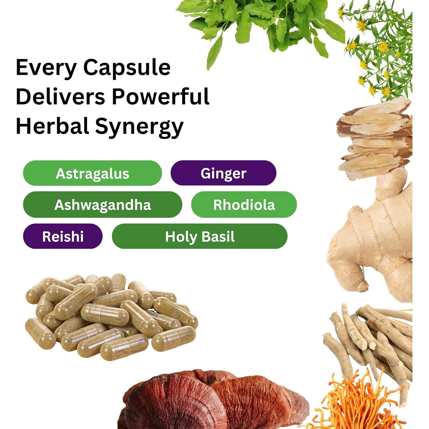 Paradise Herbs, Imperial Adaptogens, with Ashwagandha, Astragalus, Rhodiola, Proprietary Adaptogen Blend for Stress Support, Focus & Energy, 60 Vegetarian Capsules
