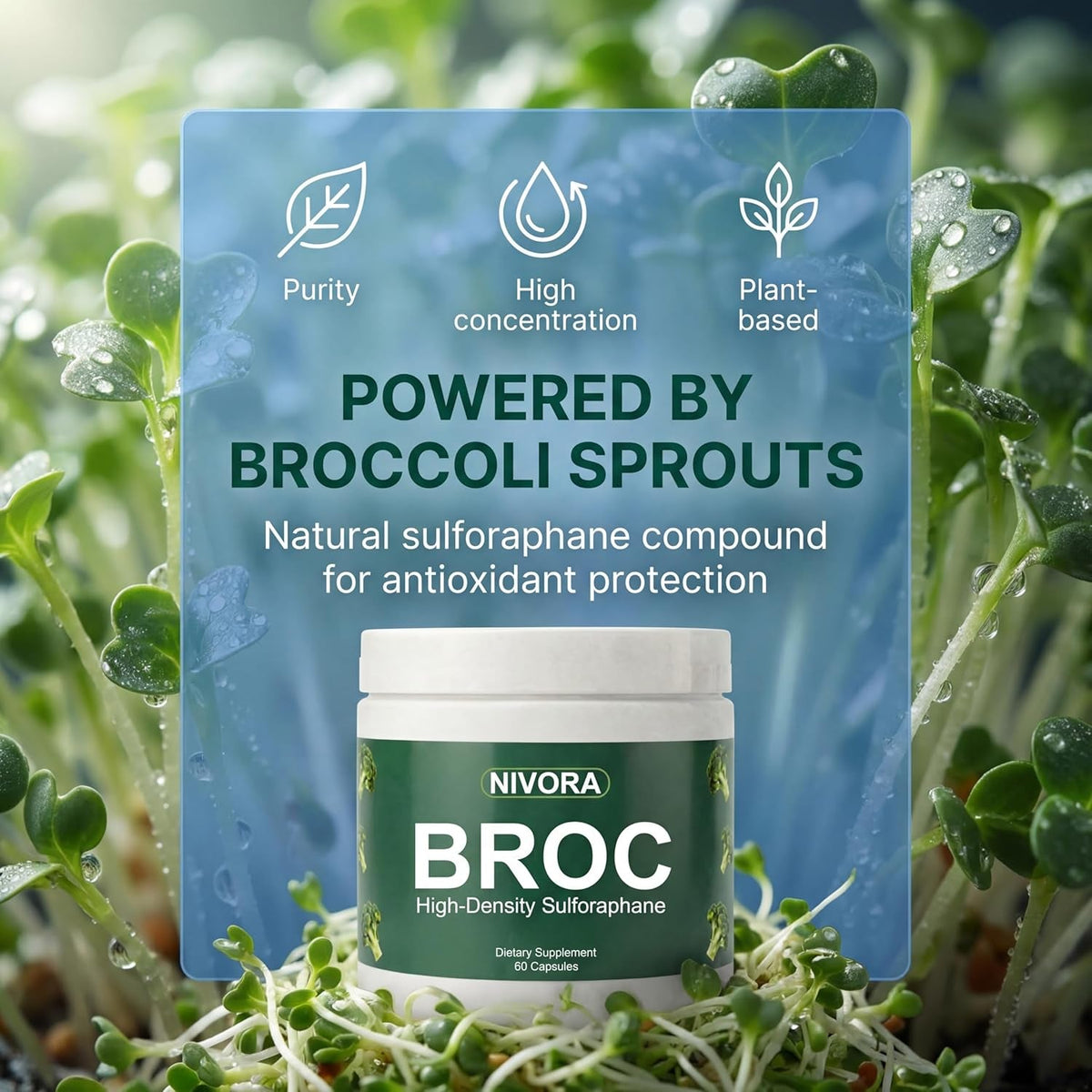 Nivora Broc High-Density Sulforaphane Supplement from Broccoli Sprouts – Immunity Support | Plant-Based Antioxidant Supplement | Supports Cellular Wellness & Overall Vitality
