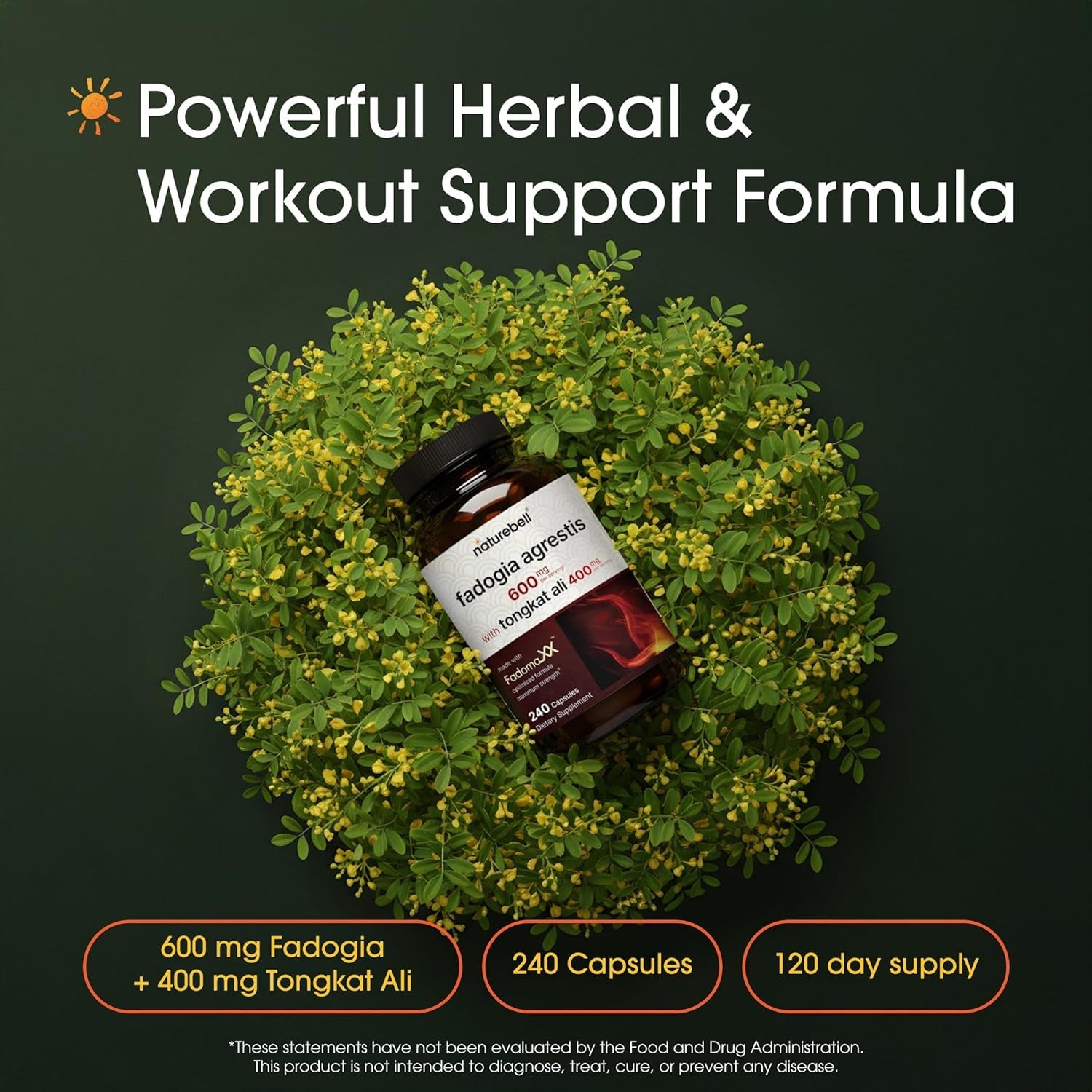 Naturebell Fadogia Agrestis 600Mg & Tongkat Ali 400Mg - 240 Capsules (4-Month Supply) - High-Potency Supplement for Energy, Vitality & Workout Support - Non-Gmo, Gluten-Free - 3Rd Party Tested