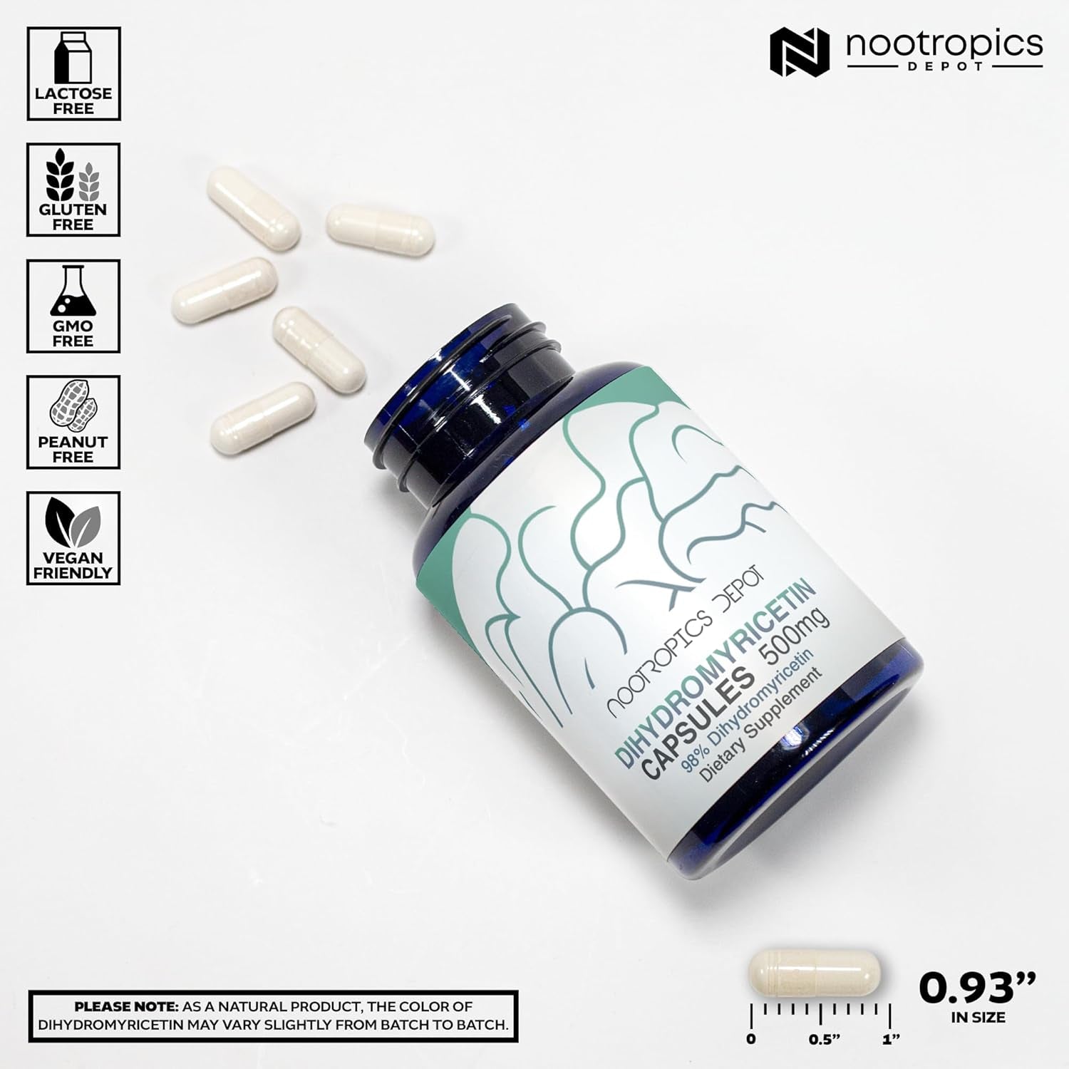 Nootropics Depot Dihydromyricetin (DHM) Capsules | after Drinking Support & Next Day Recovery | DHM Supplement | Supports Alcohol Metabolism | Vine Tea Extract (Ampelopsis Grossedentata) | 60Ct