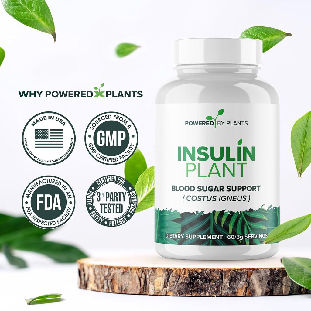 Insulin Plant Capsules - 3000Mg Costus Igneus Leaf Powder with No Binders, Fillers & Gluten - Vegan, Non GMO Supplements for Women & Men by Powered X Plants, 240 Capsules
