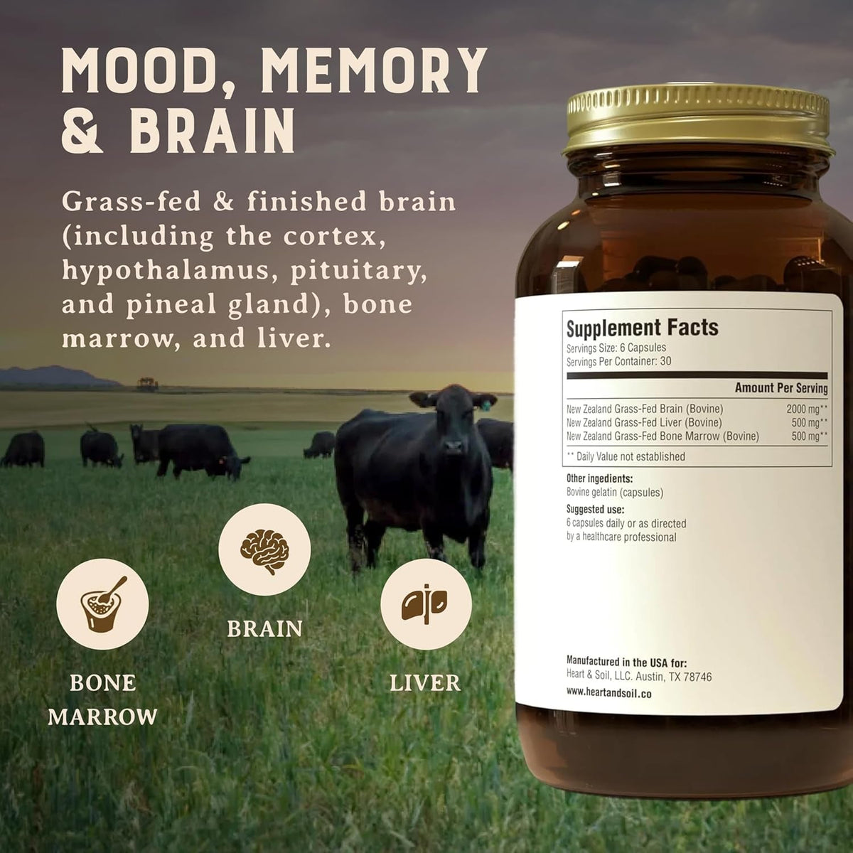 HEART & SOIL – 100% Grass Fed & Finished Beef Brain Supplement from Regenerative Cattle – for Cognitive Function & Memory – 3000Mg Focus Supplement with Beef Organs – Glass Bottle – 180 Capsules