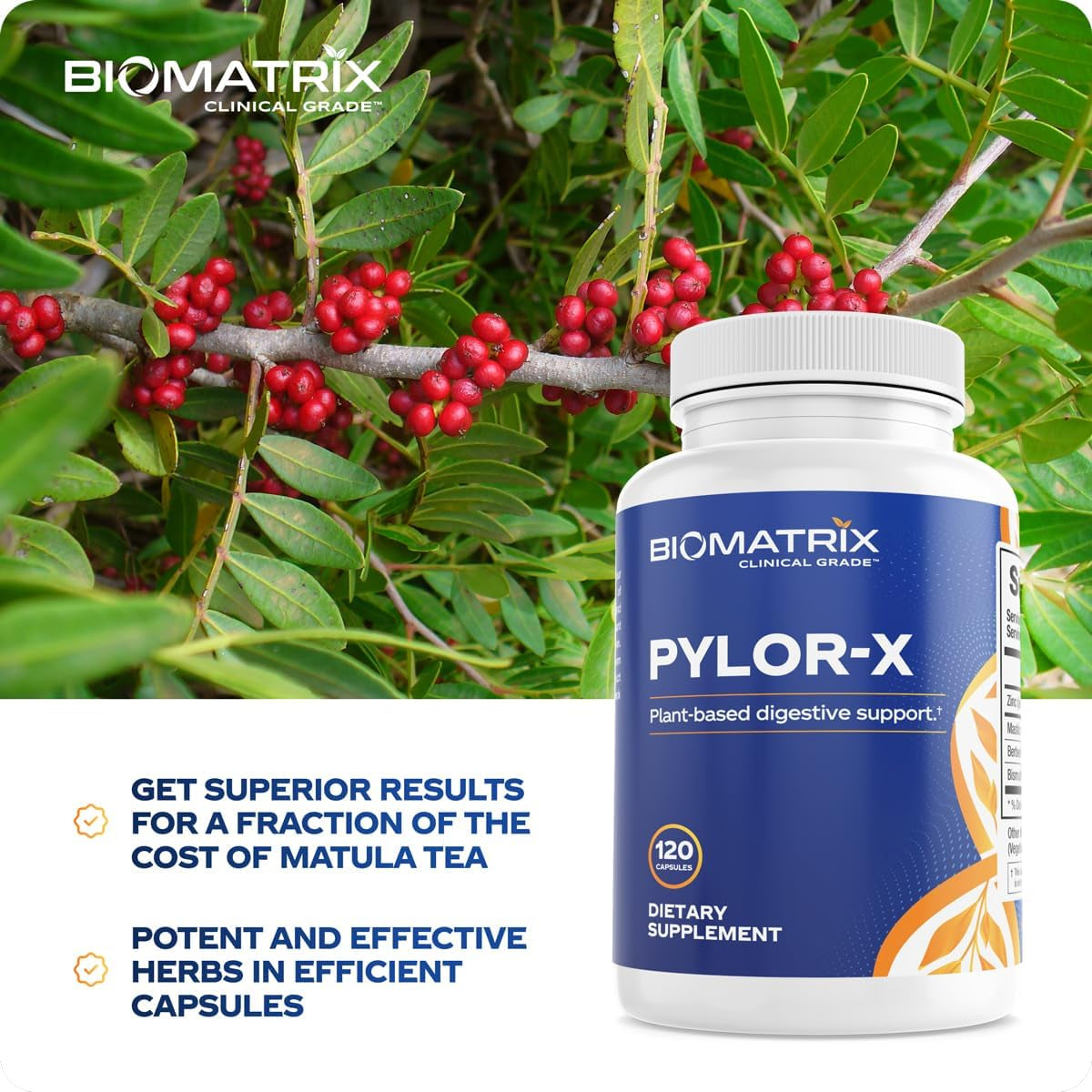 Biomatrix Pylor-X Gut Health Supplement – Mastic Gum, Berberine, Zinc Carnosine & Bismuth Salts for Gastric Support, Digestive Comfort, Stomach Lining Protection - (120 Capsules) 30-60 Day Supply
