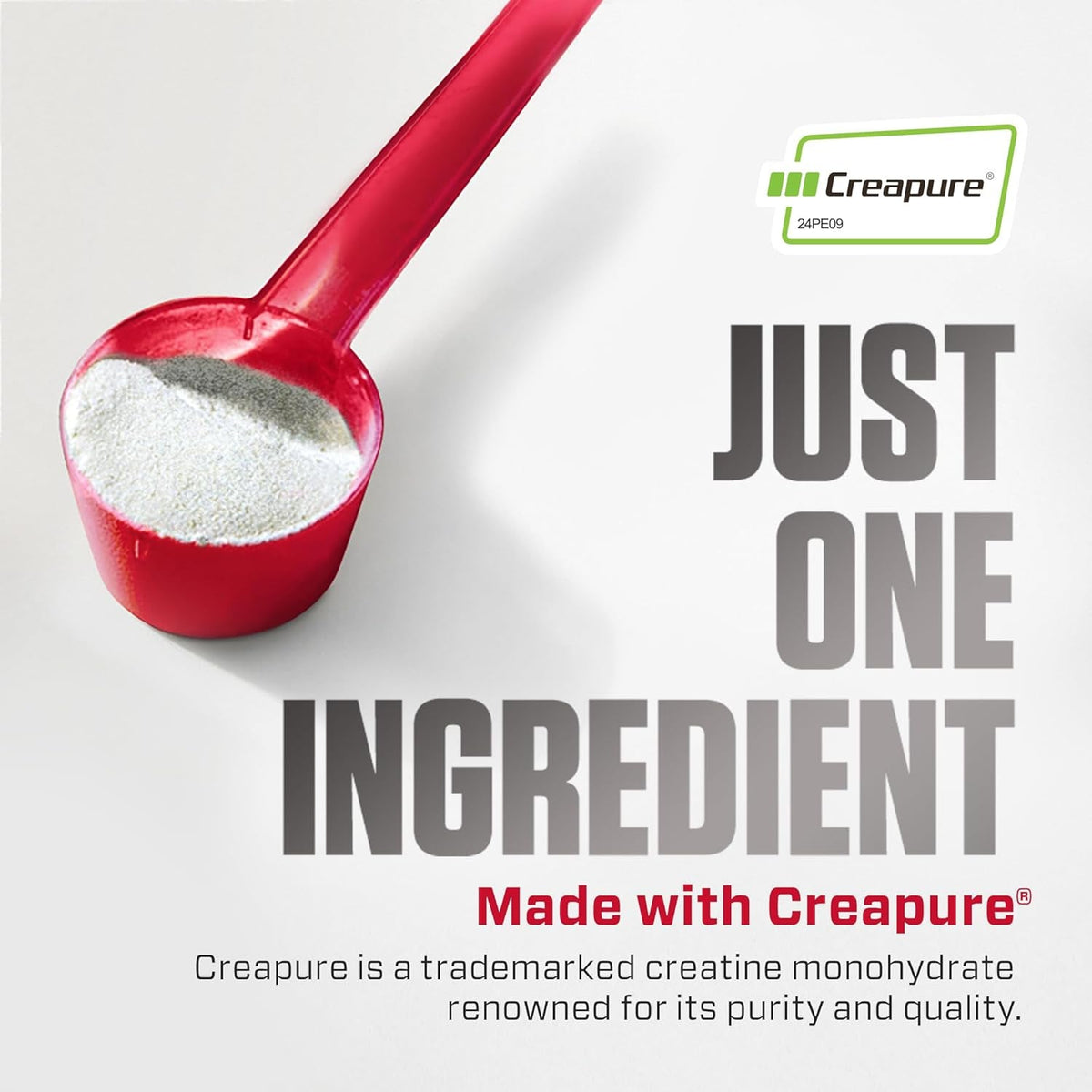 Dymatize Creatine Monohydrate Powder with CREAPURE (Product of Germany), 5G per Serving, 60 Servings (300G), Creatine for Women and Men, Gluten Free