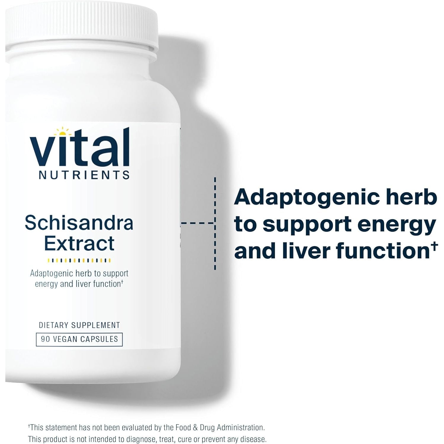Vital Nutrients - Schisandra Extract - Liver, Immune, Energy, and Endurance Support - 90 Vegetarian Capsules per Bottle - 1000 Mg