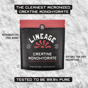 Lineage Provisions Micronized Creatine Monohydrate with Sea Salt - Micronized Creatine Powder for Training & Performance – No Artificial Ingredients – 90 Servings