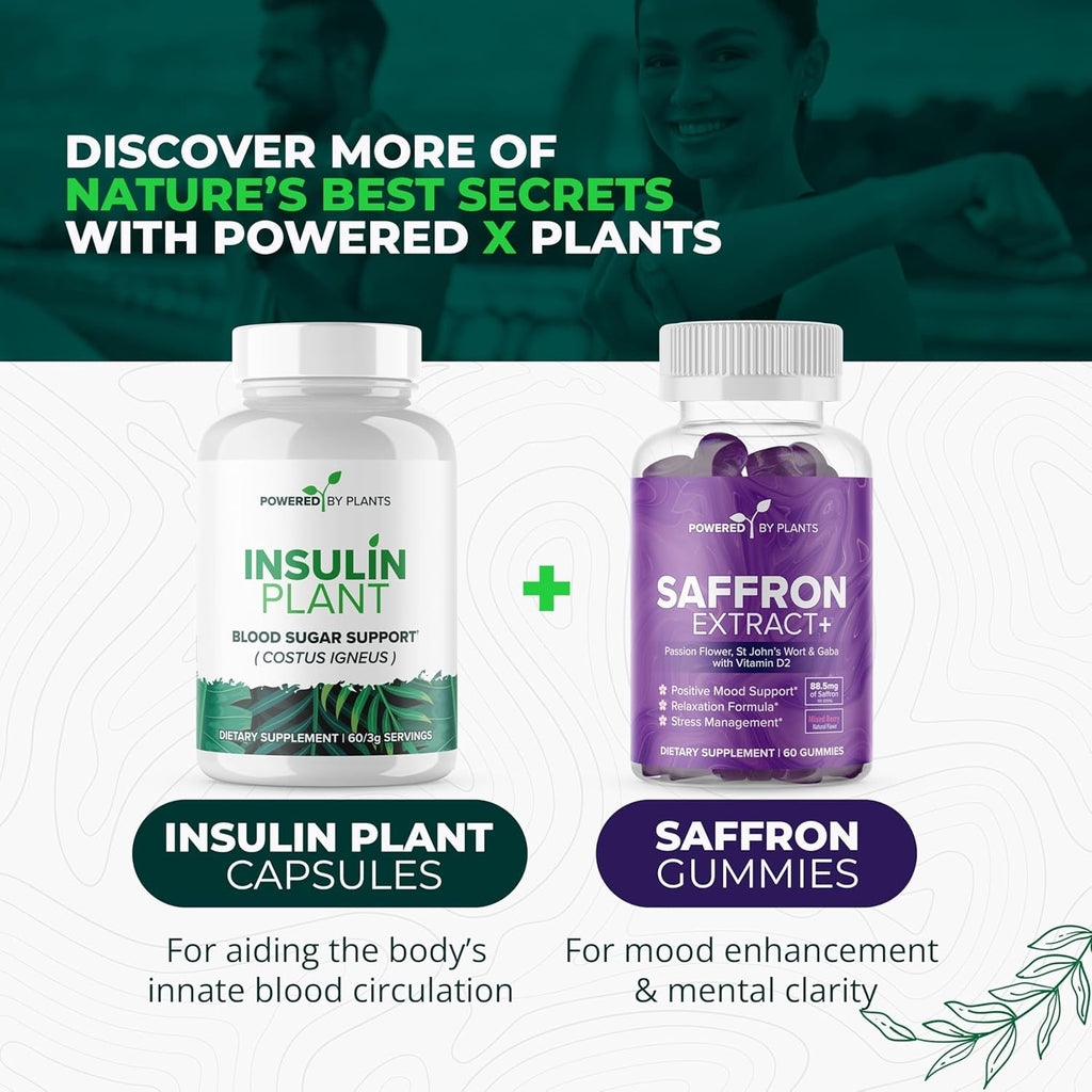 Insulin Plant Capsules - 3000Mg Costus Igneus Leaf Powder with No Binders, Fillers & Gluten - Vegan, Non GMO Supplements for Women & Men by Powered X Plants, 240 Capsules