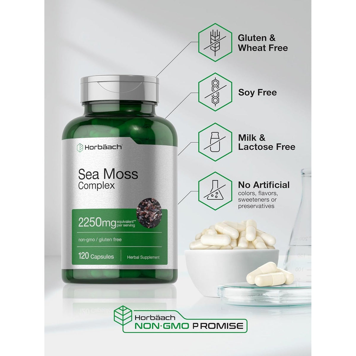 Horbäach Sea Moss Complex Capsules | 120 Count | Complex Formula with Bladderwrack & Burdock Root | Non-Gmo & Gluten Free Supplement