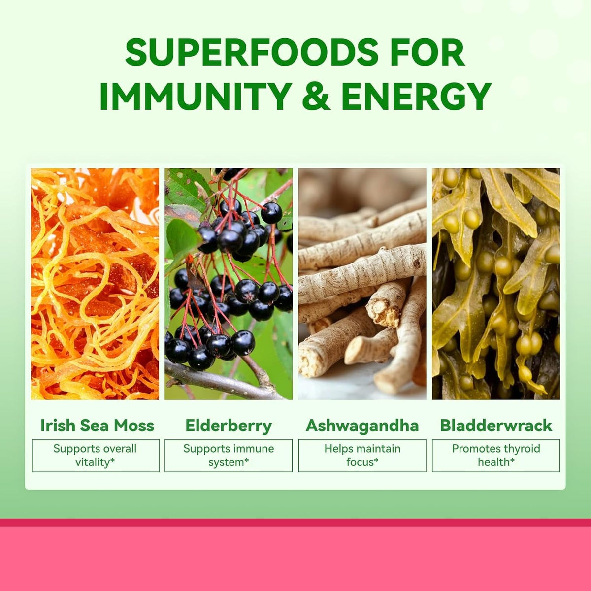 Inner Brightness Sea Moss 4000Mg Gummies with Ashwagandha, Elderberry, Apple Cider Vinegar, Bladderwrack, Burdock Root – Immune Support – Mixed Berry Flavor – 60 Count