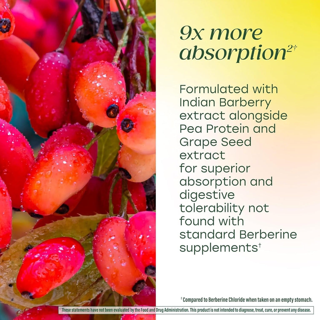 Megafood Berberine Phytosome - Berberine Supplement 550 Mg per Serving, 1100 Mg Daily - 9X Absorption - Supports a Healthy Metabolism & Cholesterol Levels - Vegan - 60 Capsules, 30 Day Supply