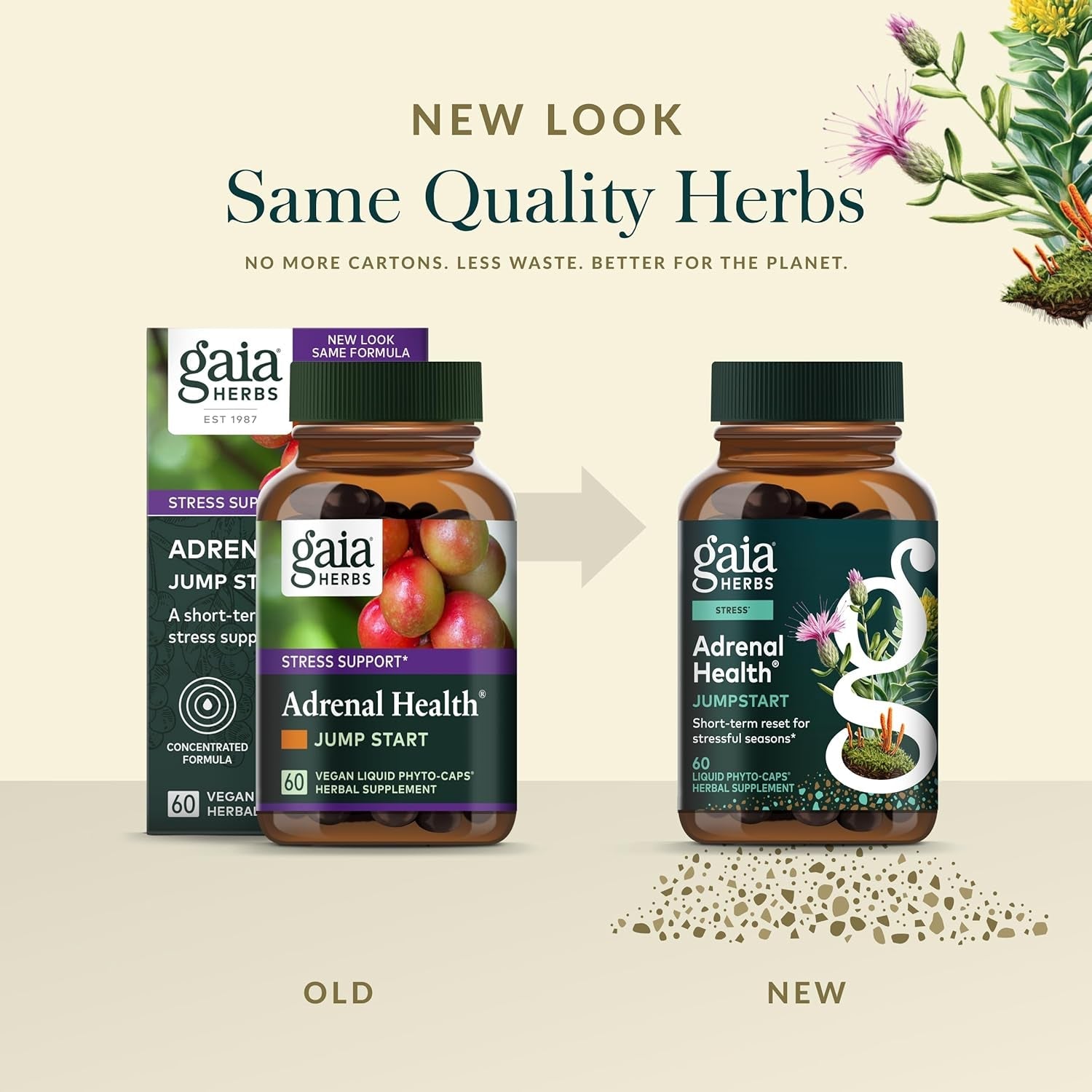 Gaia Herbs Adrenal Health Jumpstart - Helps Sustain Healthy Energy & Stress Levels* - with Cordyceps, Schisandra, Rhodiola & Licorice - 60 Vegan Liquid Phyto-Capsules (30 Servings)