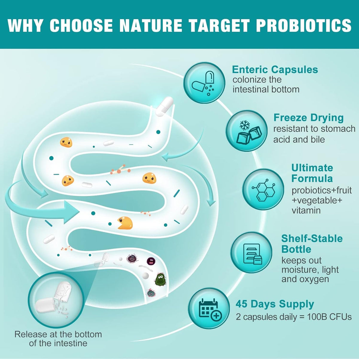 NATURE TARGET Probiotics for Women-Men Digestive Health, Mens-Womens Probiotic with Prebiotics, 100 Billion for Gut and Immune Health, No Refrigeration, 90 Veggie Capsules (45 Days Supply)