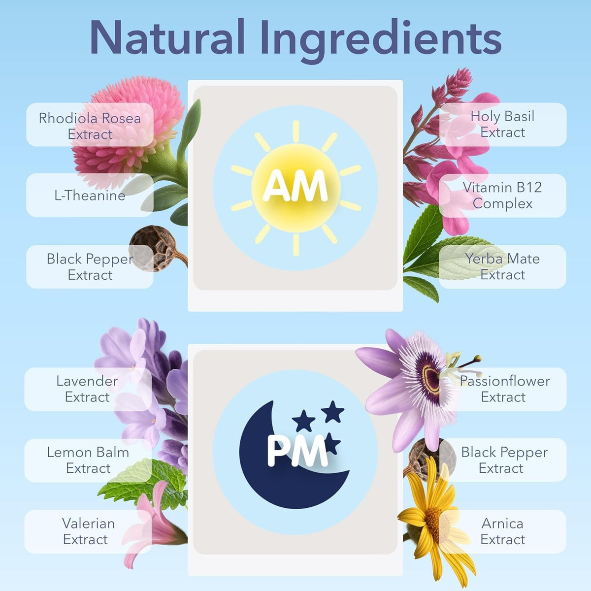 Laki Naturals Jet Lag AM & PM Travel Patches (1 Count, Pack of 8) – Natural Day & Night Support for Travelers – Energy, Focus & Restful Sleep – with B12, Valerian, Lavender & More