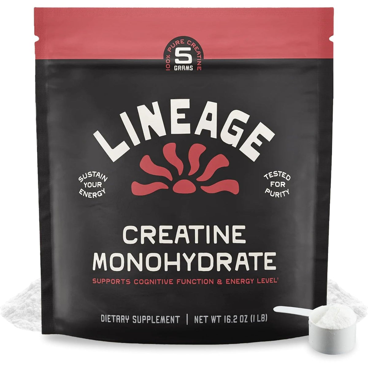 Lineage Provisions Micronized Creatine Monohydrate with Sea Salt - Micronized Creatine Powder for Training & Performance – No Artificial Ingredients – 90 Servings