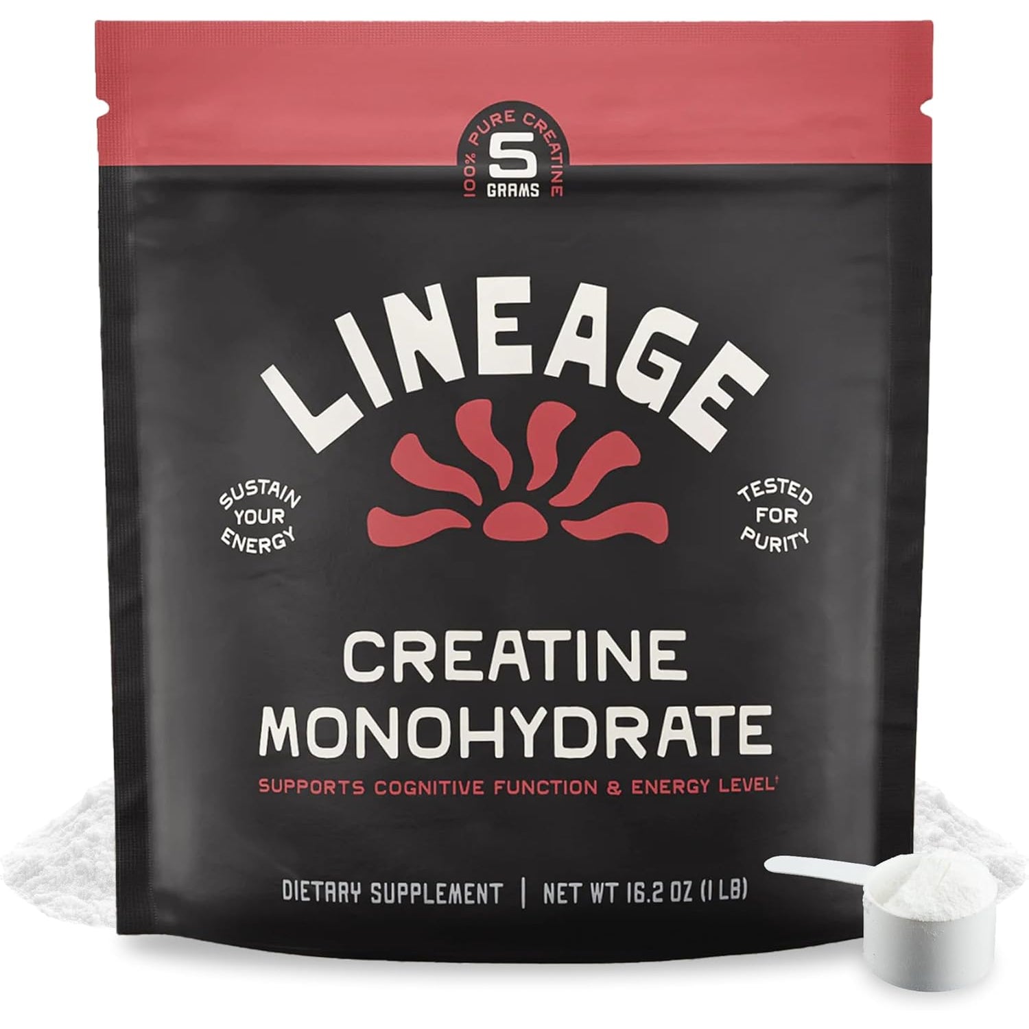 Lineage Provisions Micronized Creatine Monohydrate with Sea Salt - Micronized Creatine Powder for Training & Performance – No Artificial Ingredients – 90 Servings