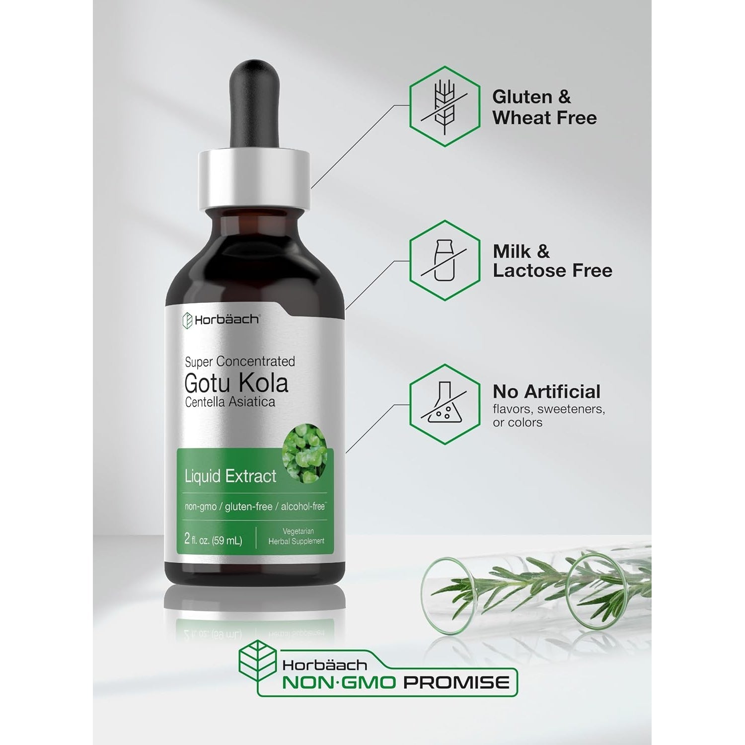 Horbäach Gotu Kola Extract | 2 Fl Oz | Alcohol Free | Super Concentrated Liquid Herb Supplement | Vegetarian, Non-Gmo, Gluten Free
