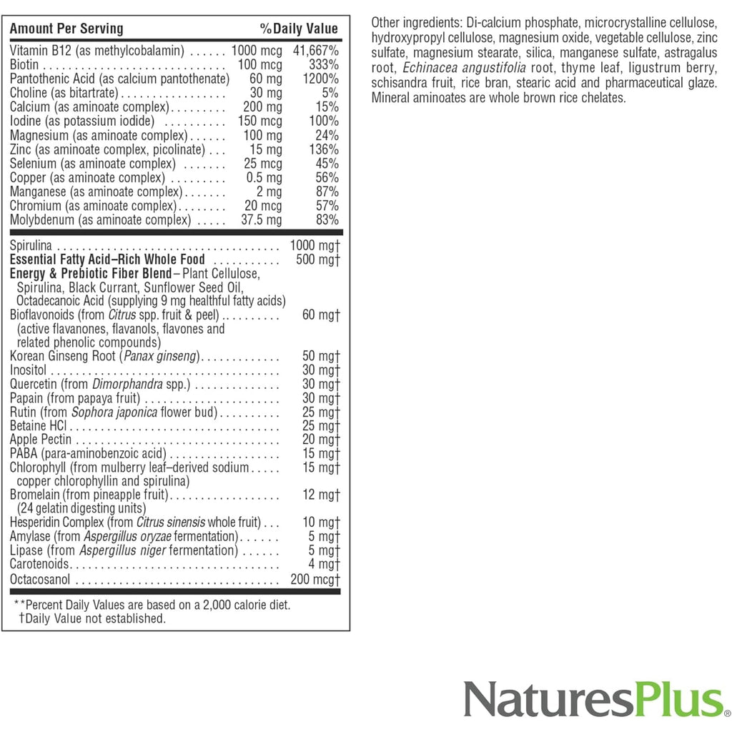 Naturesplus Source of Life No Iron - 180 Mini-Tabs - Multivitamin & Mineral Supplement - Supports Natural Energy & Overall Well-Being - Gluten Free, Vegetarian - 30 Servings