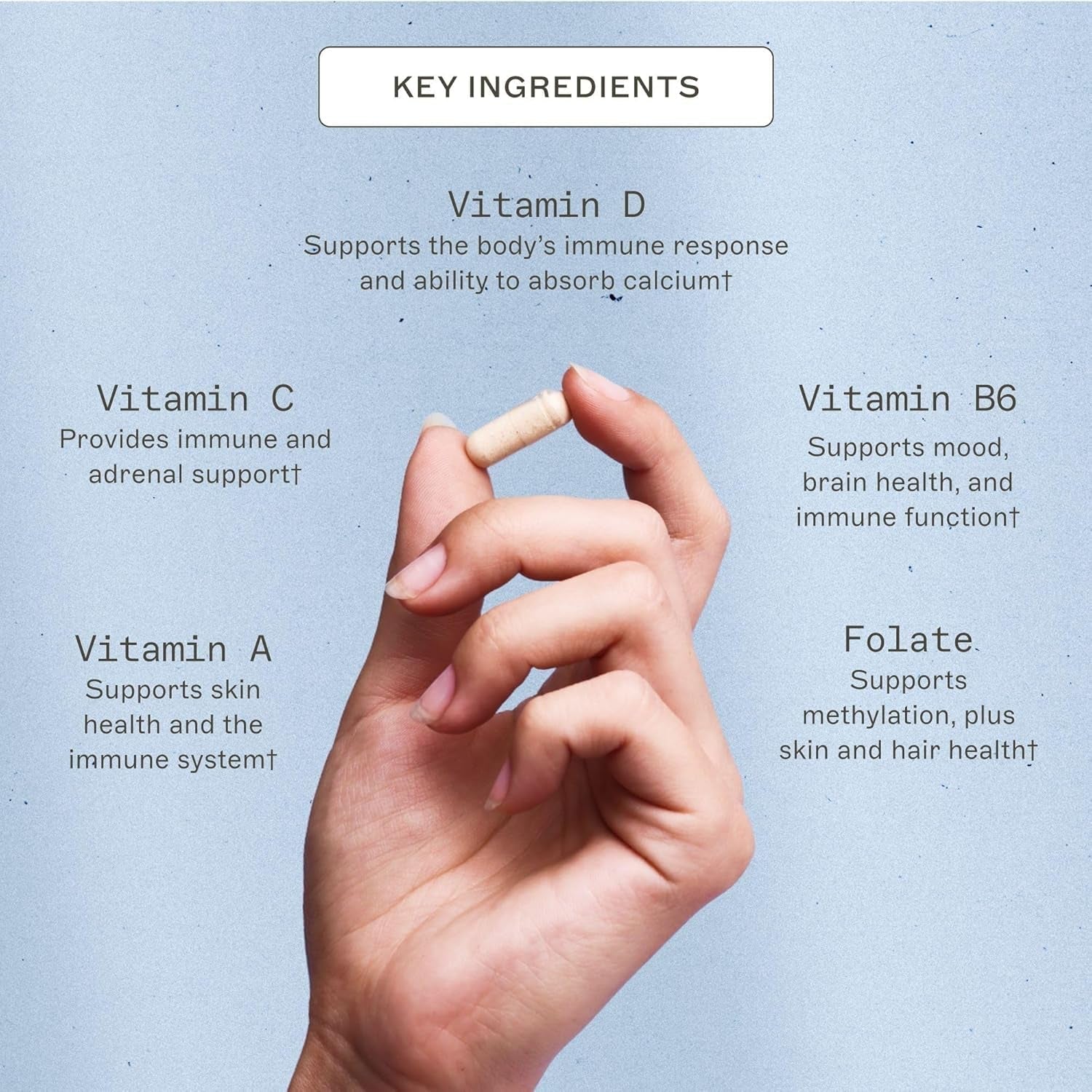 Amy Myers MD the Myers Way Multivitamin - Supports Healthy Immune, Thyroid & Adrenal Function - Gluten-Free, Non-Dairy & Iron Free Healthcare Supplement