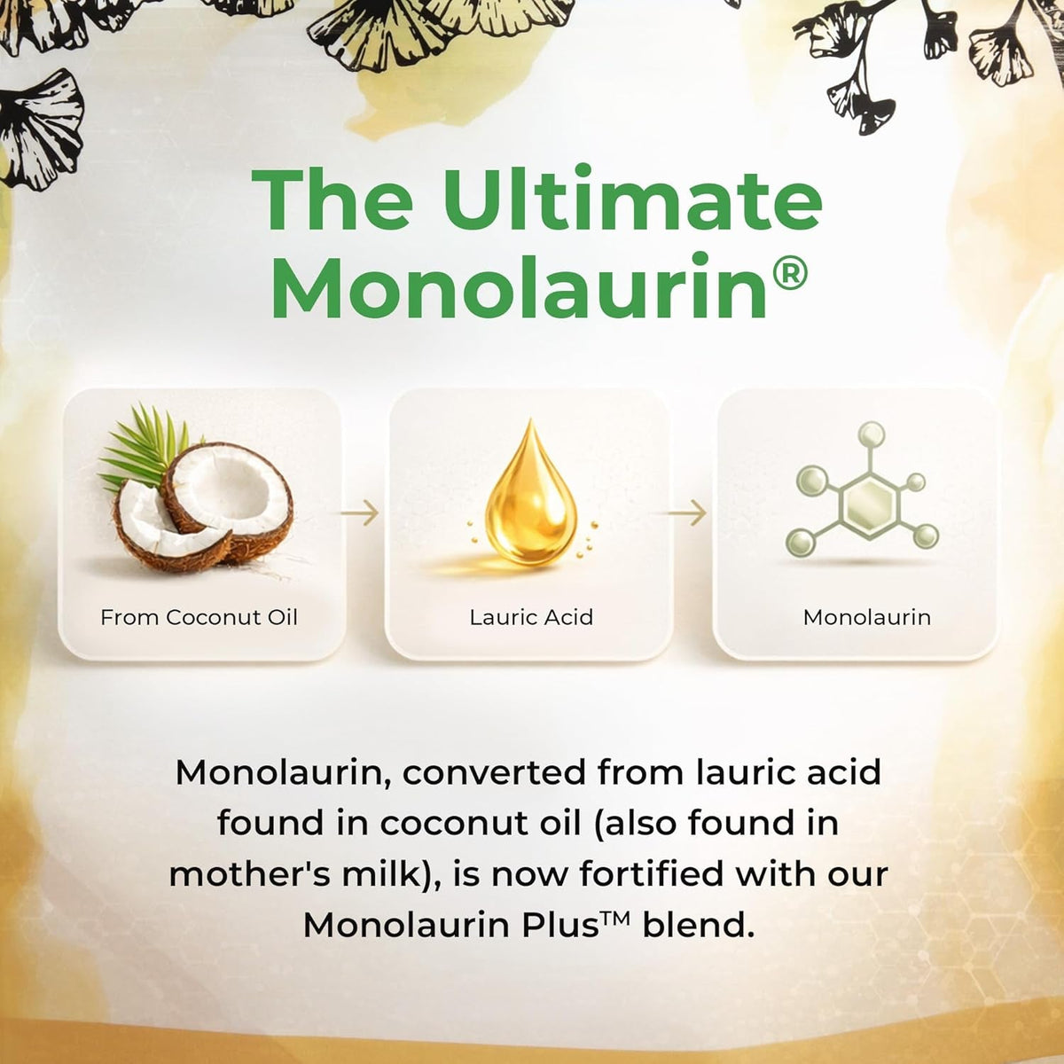 Ultralaurin® Monolaurin Supplement – 3,000 Mg Coconut-Derived Pellets for Immune & Gut Health Support, Digestive Wellness – 7 Oz - 66 Servings – Vegan, Non-Gmo, Natural Immune & Digestive Support