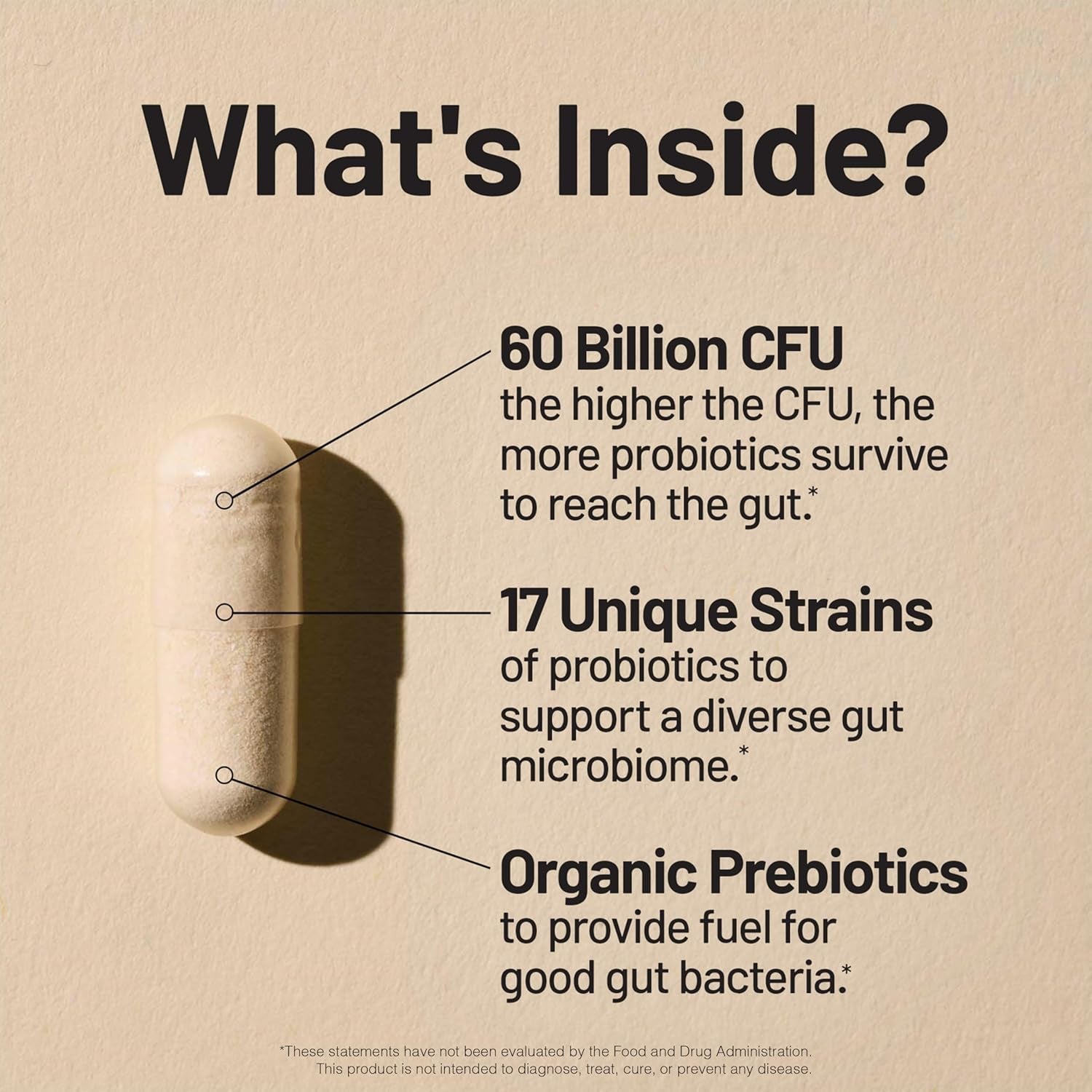 Naturewise Probiotics 60 Billion CFU - 17 Strains + Organic Prebiotics - Immune, Digestive & Gut Health Support for Women & Men - Vegetarian, Gluten-Free, Non-Gmo - 30 Capsules[1-Month Supply]