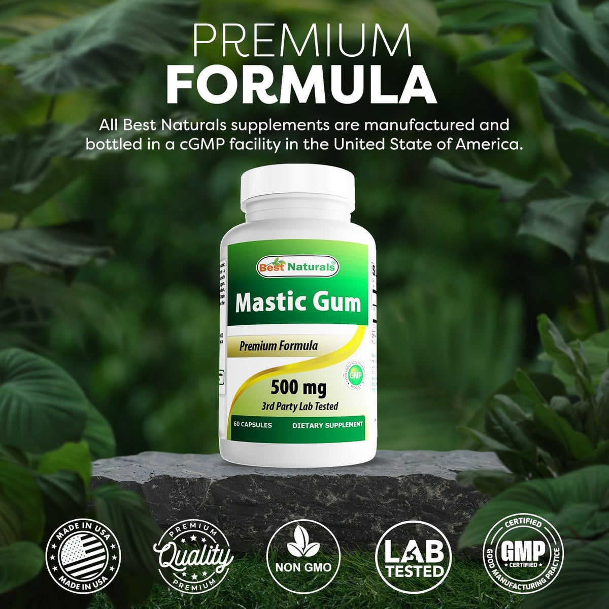 Best Naturals Mastic Gum 500 Mg 60 Capsules