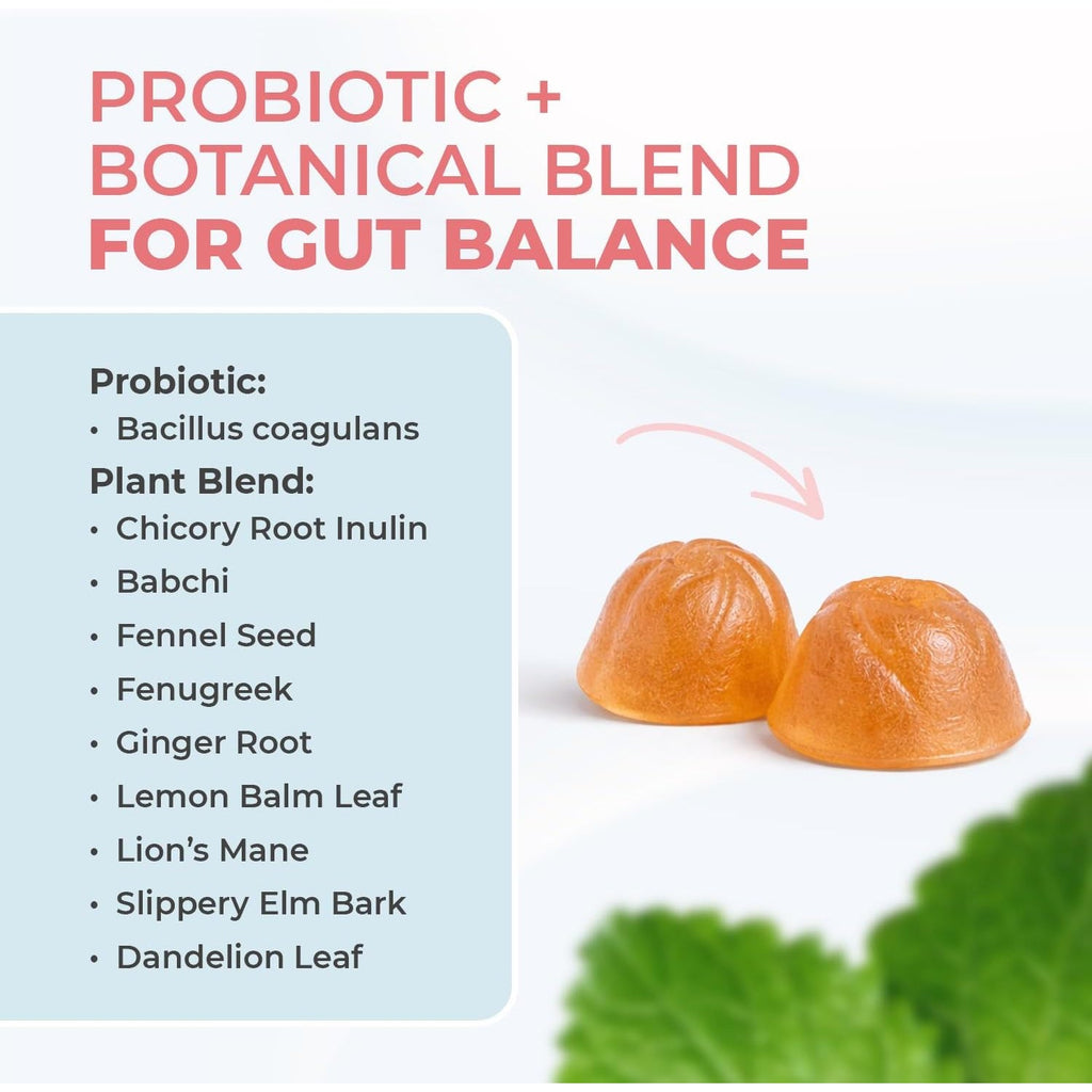 Primebiome Probiotic Gummies – Plant-Based Blend with Inulin, Lion’S Mane, Ginger & More– Non-Gmo, No Stimulants, GMP Certified – 30 Gummies, 1 Month Supply