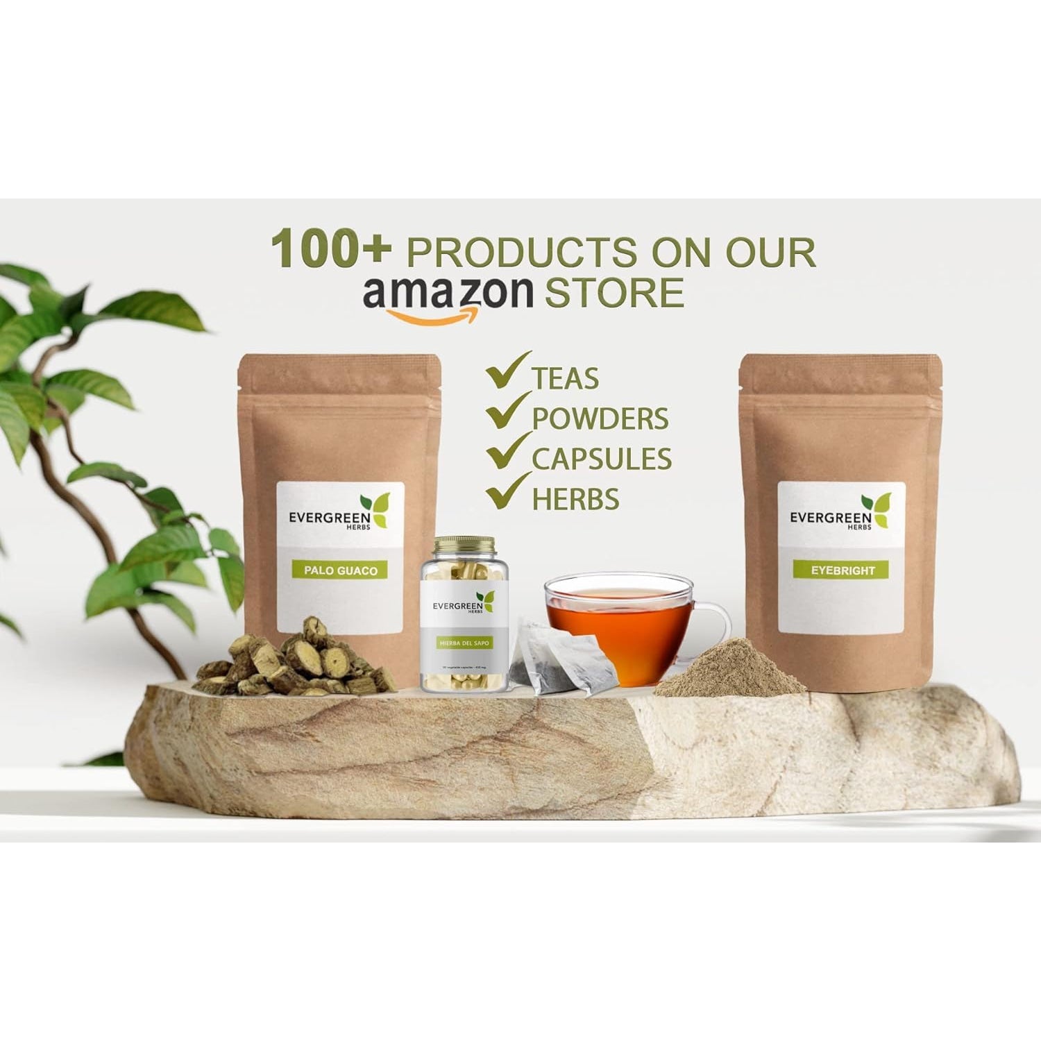 Evergreen Herbs Cuachalalate Herb (Amphipetyglum Adstringens) - Resealable Stand up Pouch to Ensure Freshness! (Capsules)