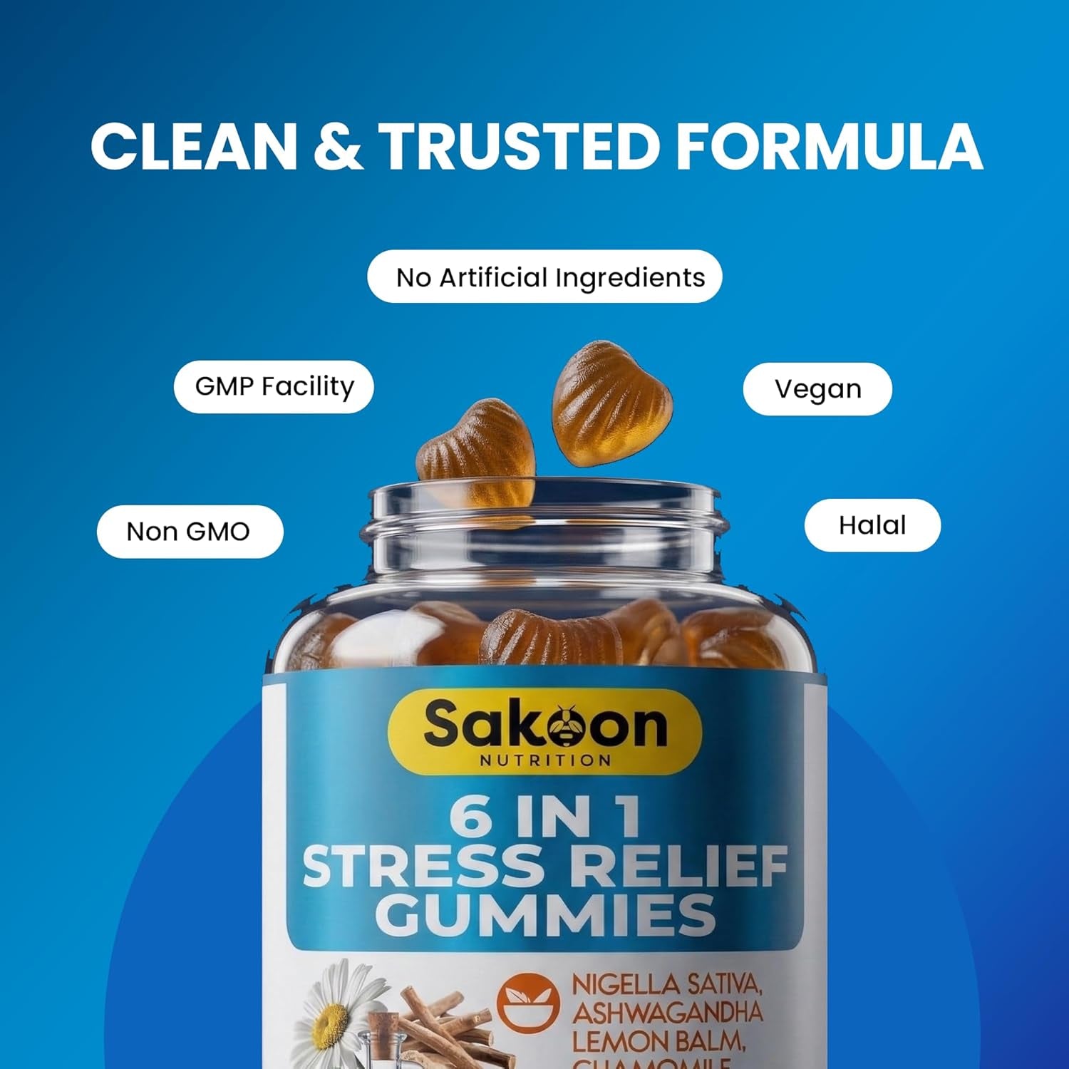 6-In-1 Stress Relief Gummies 60Ct - Aids Relaxation with Ashwagandha, GABA, L-Theanine, Lemon Balm, Chamomile, Black Cumin Seed Nigella Sativa. Improved Deep Sleep, Joint Support - 60 Gummies