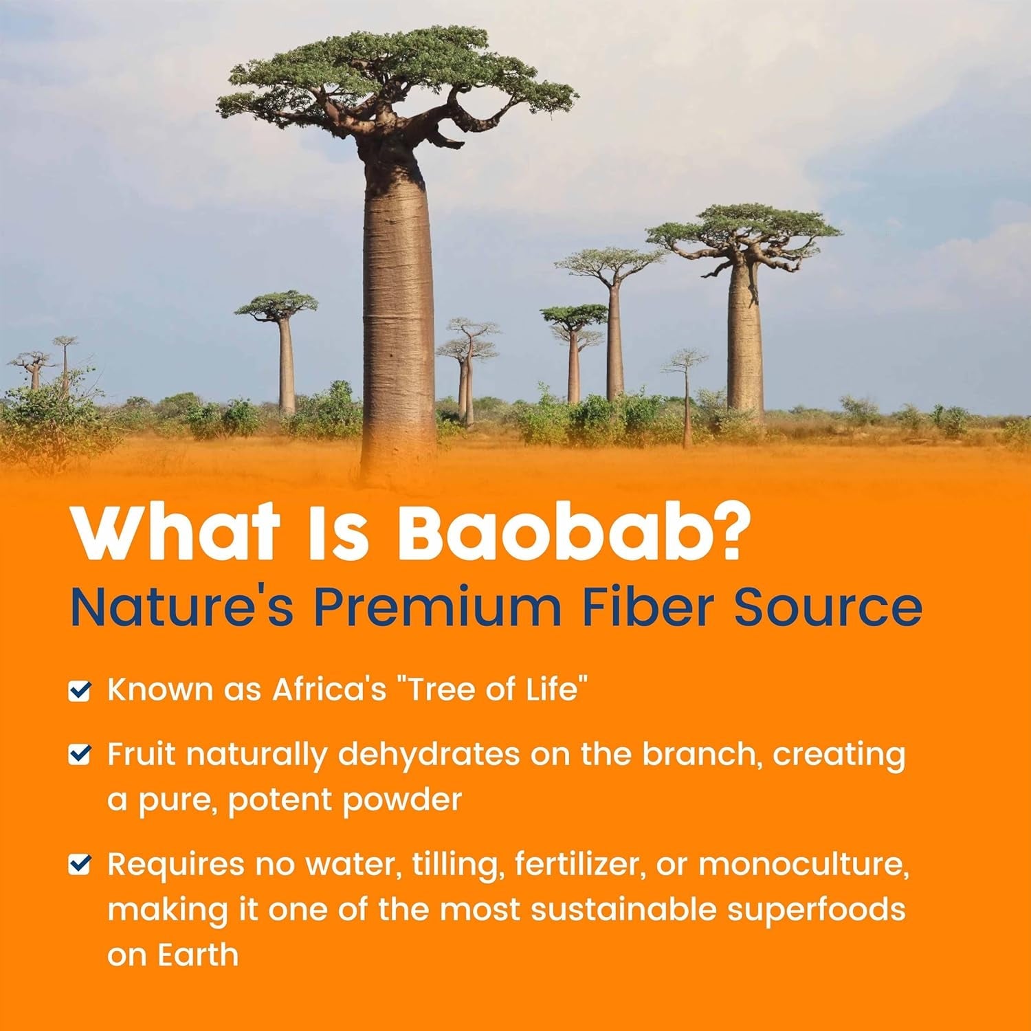 Nativepath Organic Baobab Prebiotic Fiber Powder - Digestive Health Supplement - Natural Orange Flavor, 30 Servings
