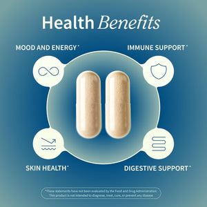Snap Supplements Irish Sea Moss with Bladderwrack, Burdock Root & Iodine – Natural Sea Moss Supplement to Support Gut Health, Energy & Healthy-Looking Skin, 60 Vegan Capsules (1 Month Supply)