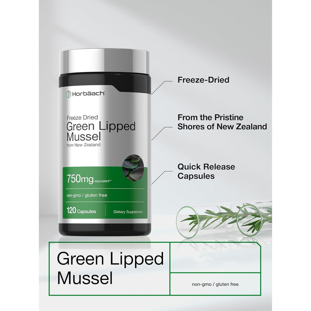 Horbäach Green Lipped Mussel |120 Capsules | from New Zealand | Premium Freeze Dried Mussel Powder | Non-Gmo and Gluten Free