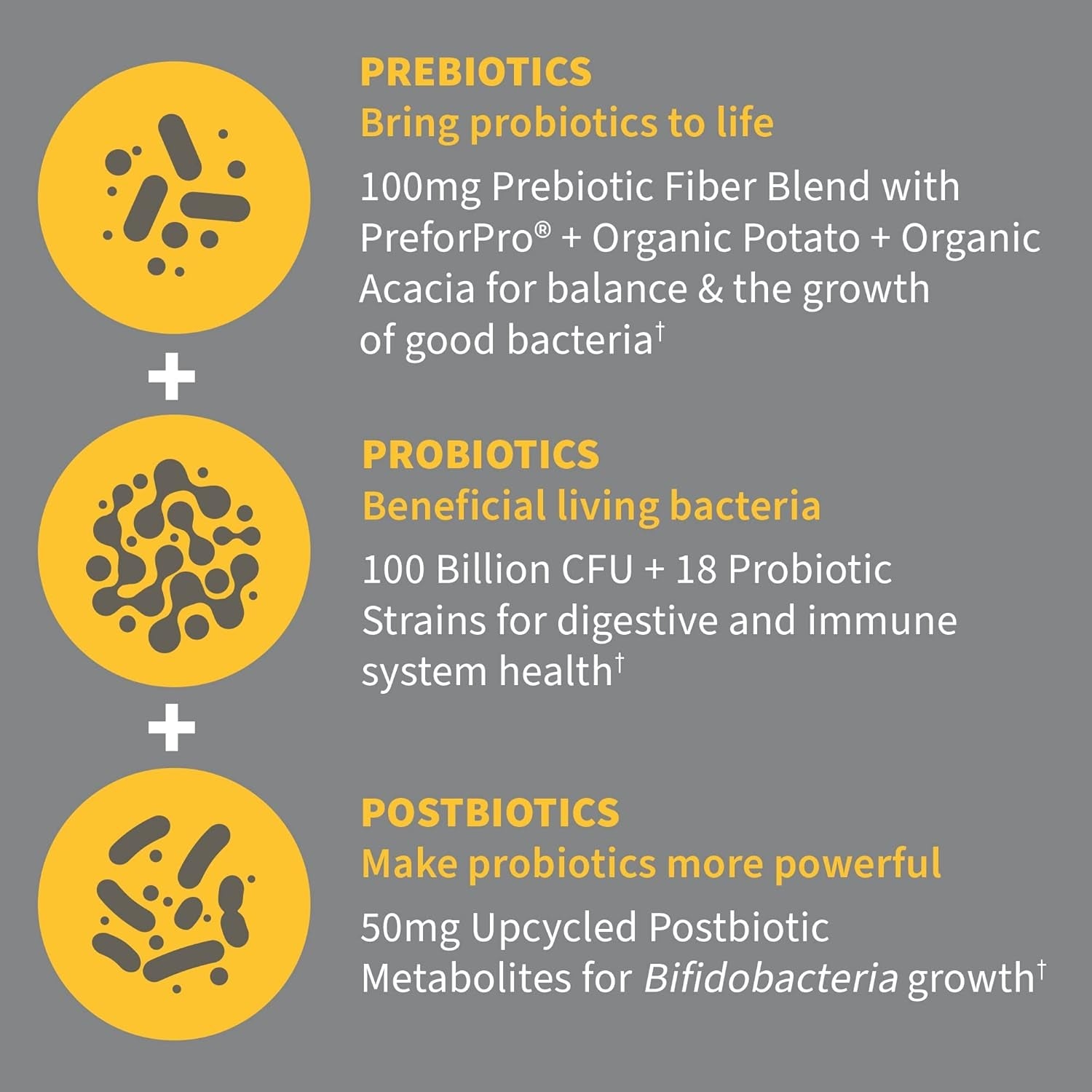 Garden of Life Dr. Formulated Pre, Post & Probiotics 100 Billion CFU Once Daily 3-In-1 Complete Probiotics, Prebiotics & Postbiotics Supplement for Women and Men – Extra Strength, 30 Day Supply