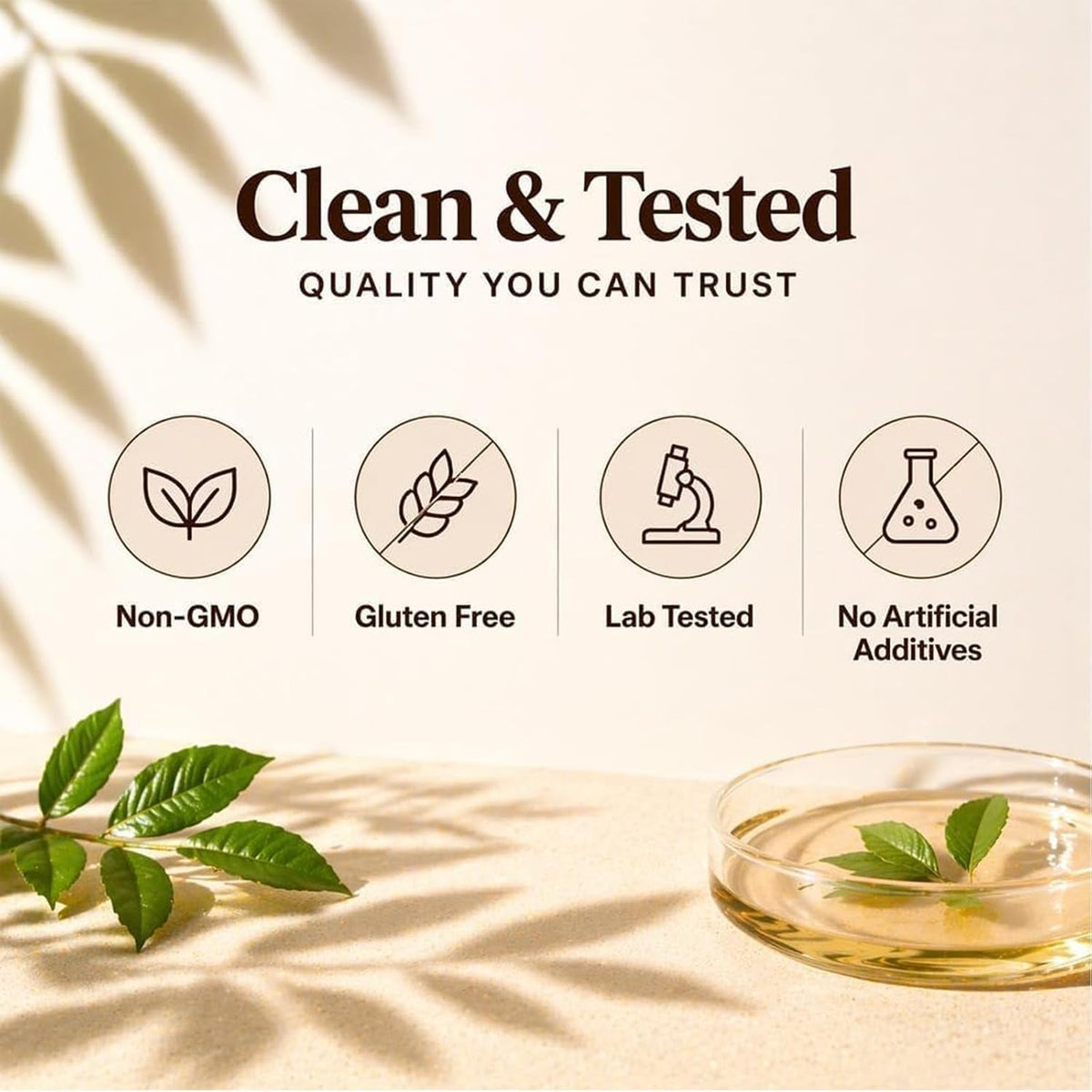 Ceylon Cinnamon Capsules with MCT Oil, Equivalent, Non-Gmo, Gluten Free, 300 Softgels (1)