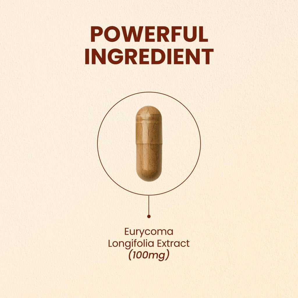 CHOQ Tongkat Ali Extract 100Mg - Testosterone Booster for Men - LJ100 Longjack Clinically Proven - Malaysian Eurycoma Longifolia with 40% Glycosaponins - 30 Capsules