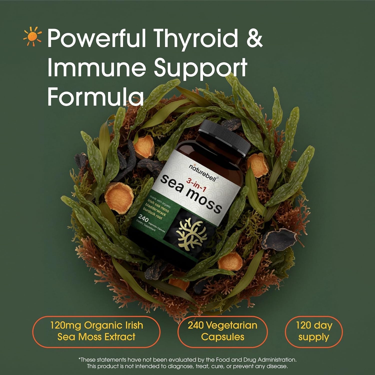 Naturebell 3-In-1 Sea Moss - 240 Vegetarian Capsules - Sea Moss Complex with Organic Bladderwrack & Organic Burdock Root - Healthy Digestion, Vitality & Immune Support*