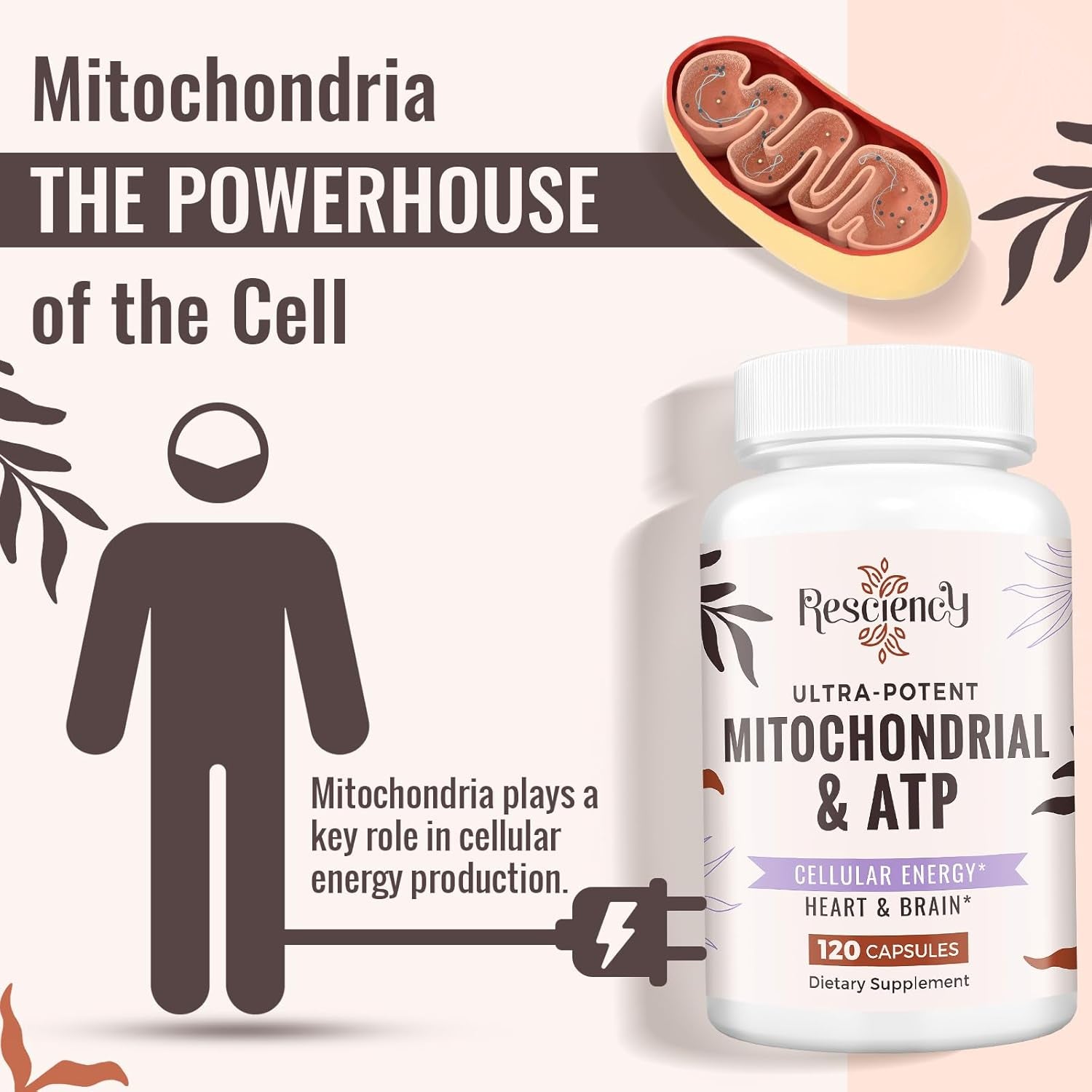 Resciency 2326 MG Mitochondrial Supplements with ATP, Vitamins, Coq10 & PQQ, More Effective than Creatine HMB & Nitric Oxide, Energy, Endurance, Strength, Recovery & Muscle, Organic, 120 Capsules