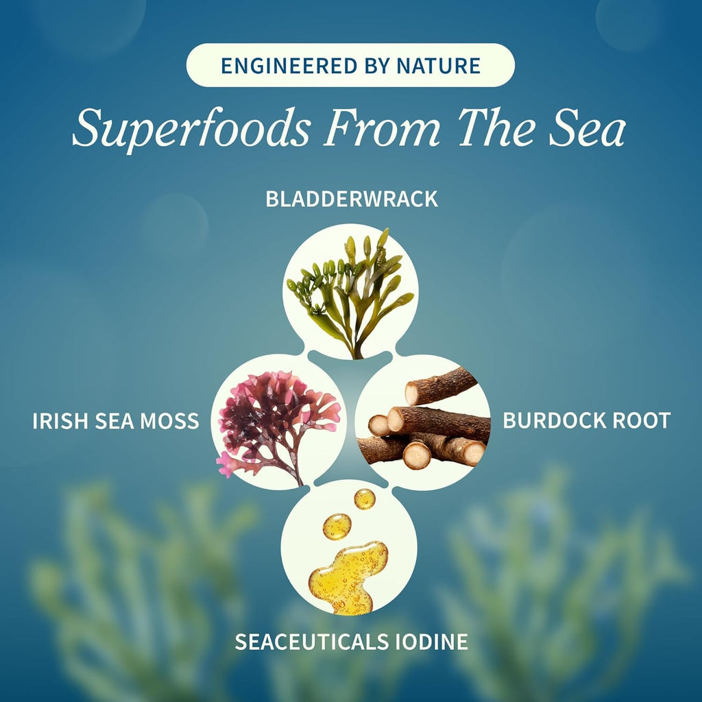 Snap Supplements Irish Sea Moss with Bladderwrack, Burdock Root & Iodine – Natural Sea Moss Supplement to Support Gut Health, Energy & Healthy-Looking Skin, 60 Vegan Capsules (1 Month Supply)