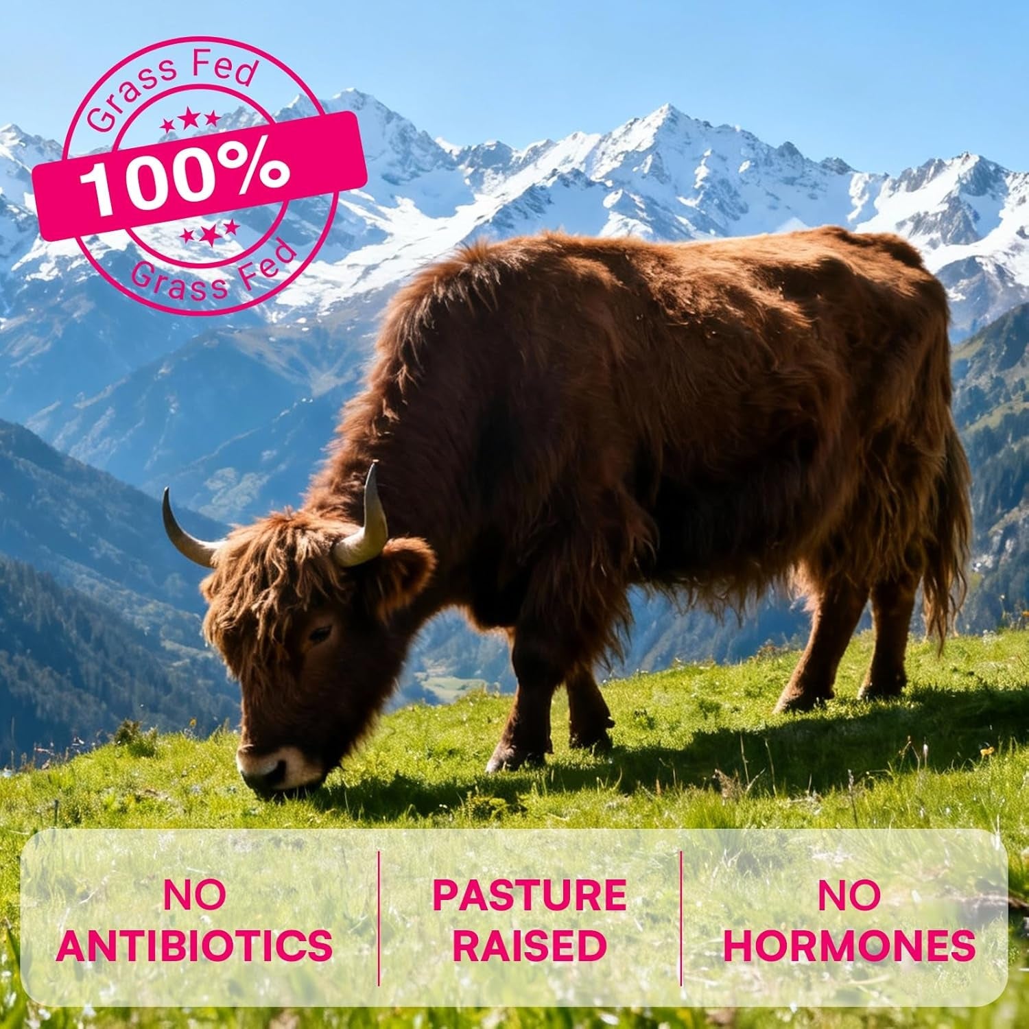 12-In-1 Beef Organ Supplement for Women - Beef Liver, Uterus, Kidney, Heart, Pancreas, 5 Vitamins & 2 Herbs, Hormone Balance, Menstruation, Energy, Immune - 100% Grass Fed, Pasture Raise - 120 Caps