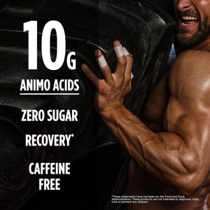 BSN Amino X Muscle Recovery & Endurance Powder, Bcaas, 10 Grams of Amino Acids, Keto Friendly, Caffeine-Free, Support Endurance, Zero Sugar, Fruit Punch, 30 Servings, 15.34 Ounce (Packaging May Vary)